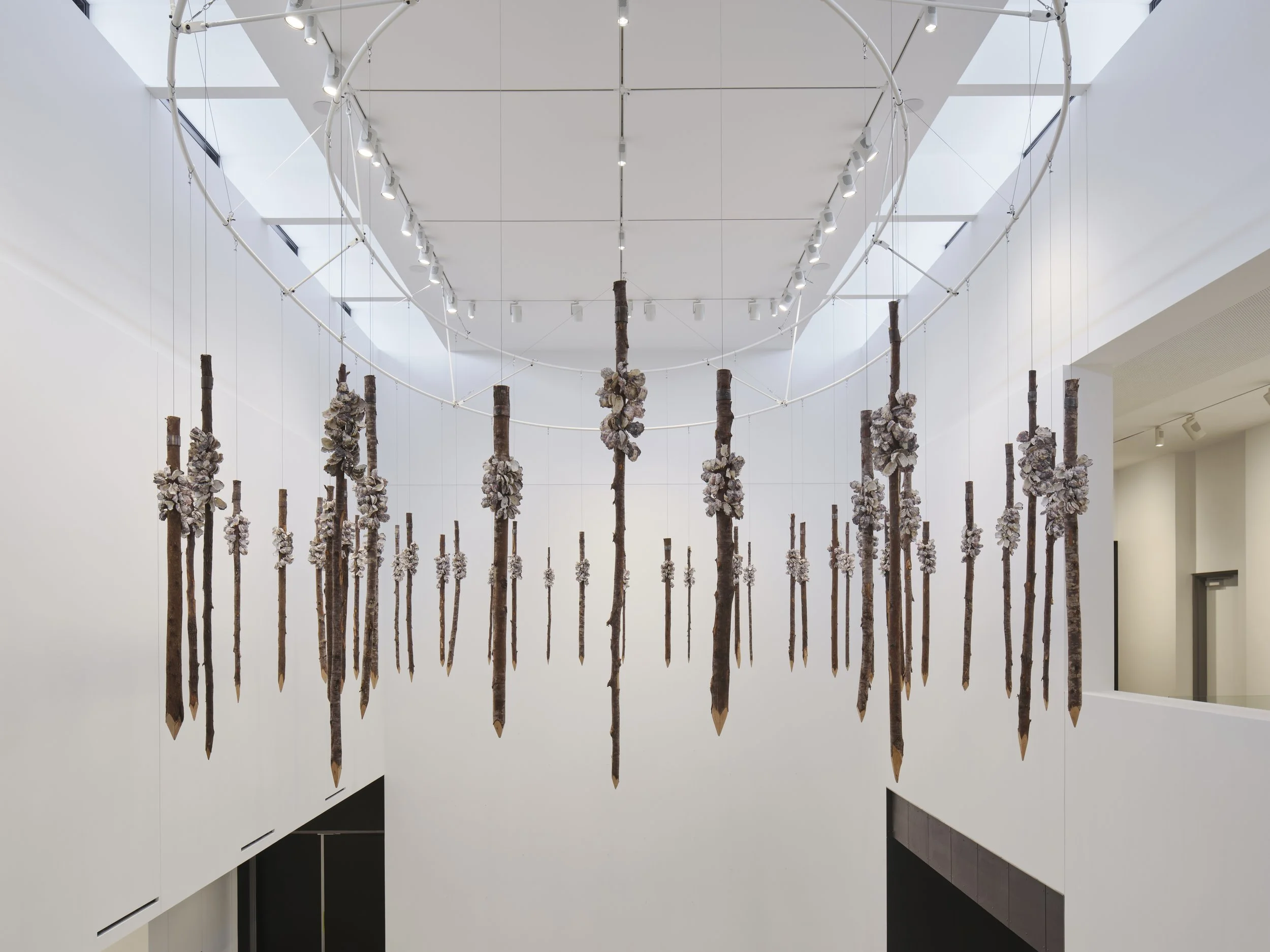 Newcastle Art Gallery opens with double the original footprint