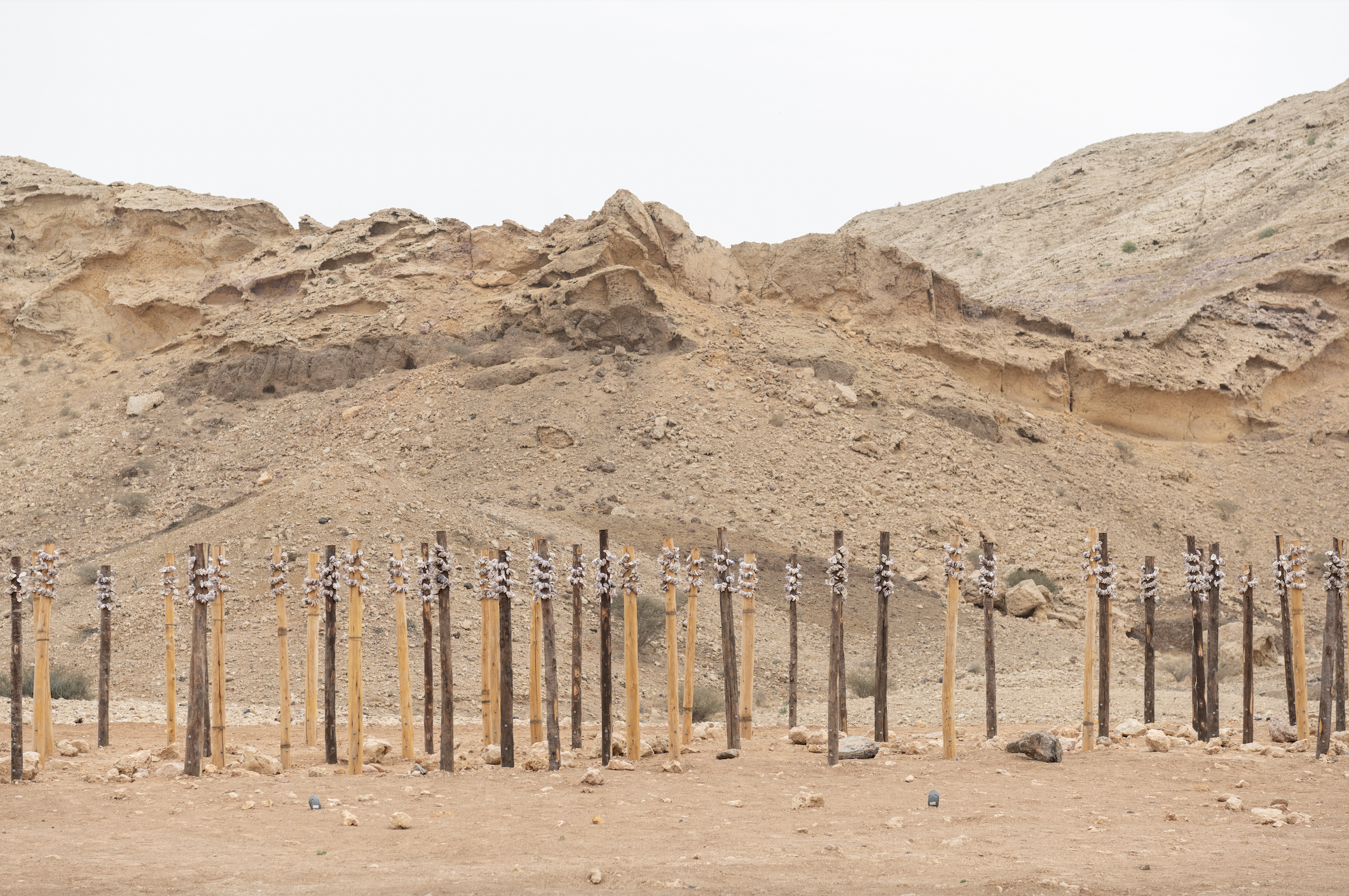 Sharjah Biennial 16: sprawling emirate-wide exhibition regains its edge