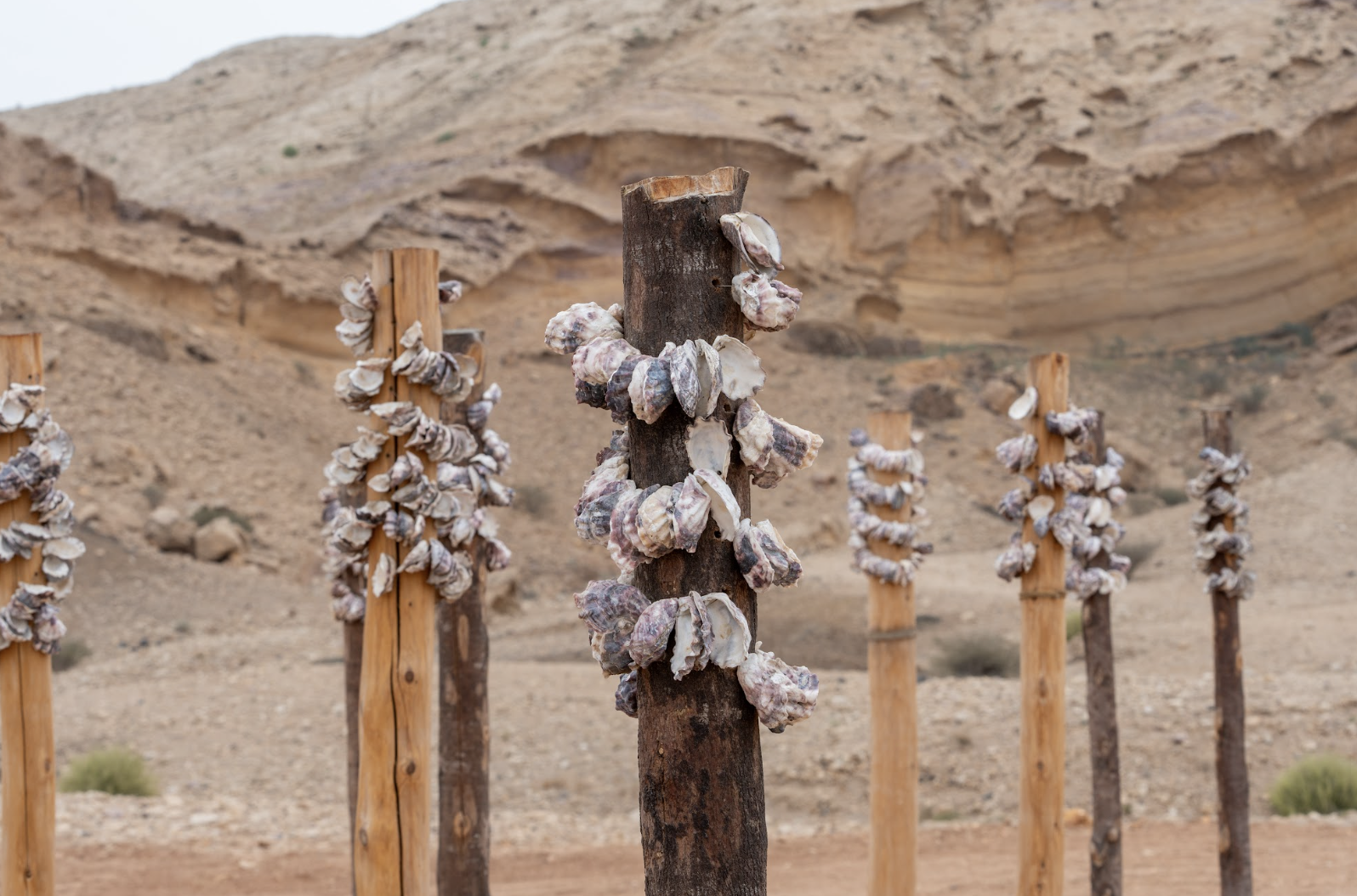 ‘Artists are being asked to be vulnerable’: inside the Sharjah Biennial 2025