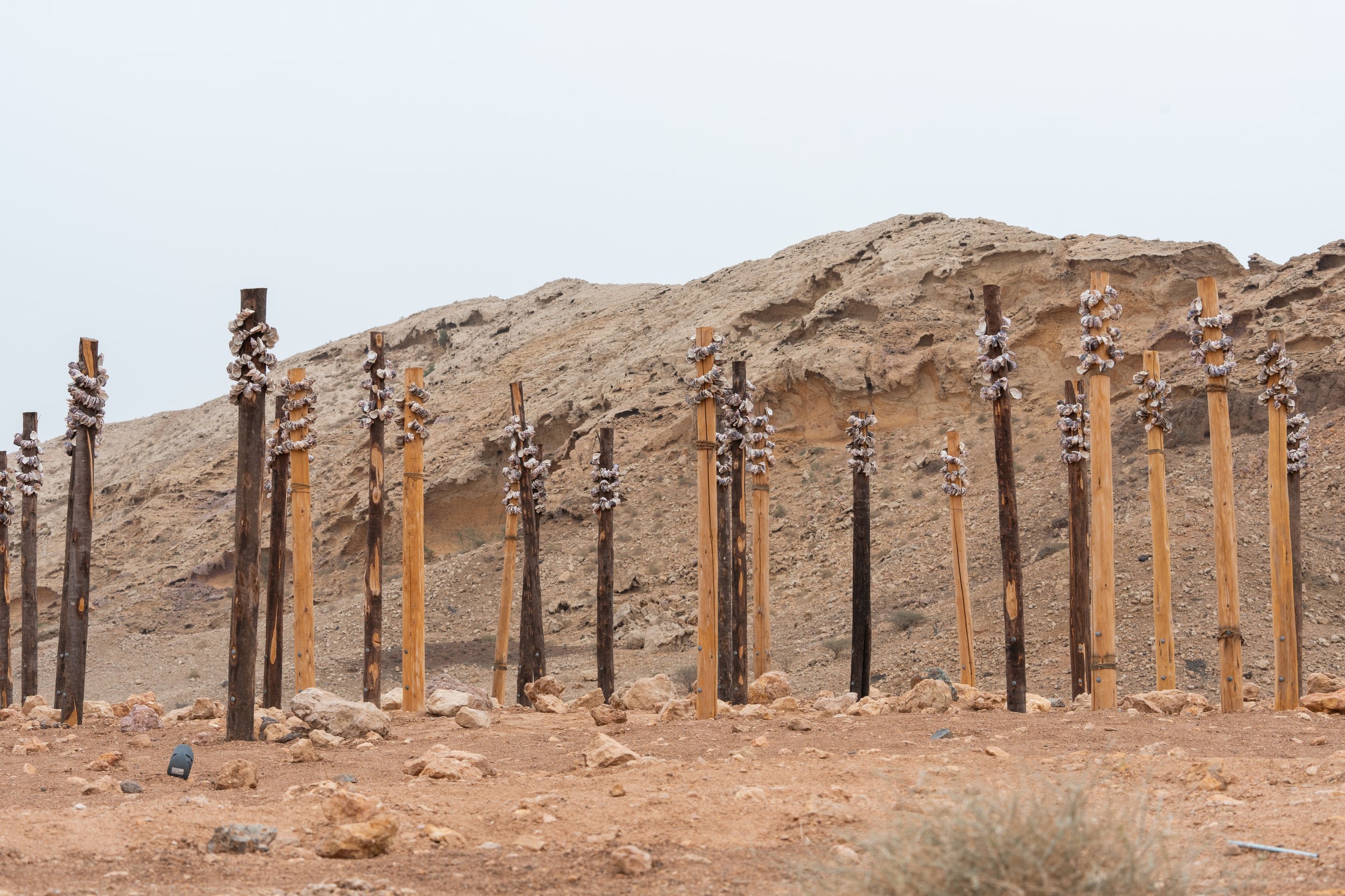 Kinyingarra Poles