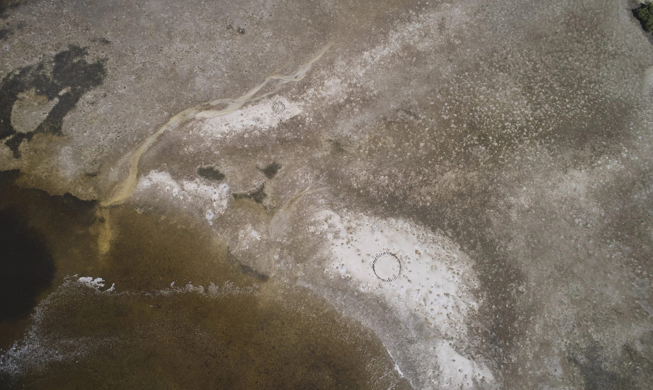 DJI_0105.jpg