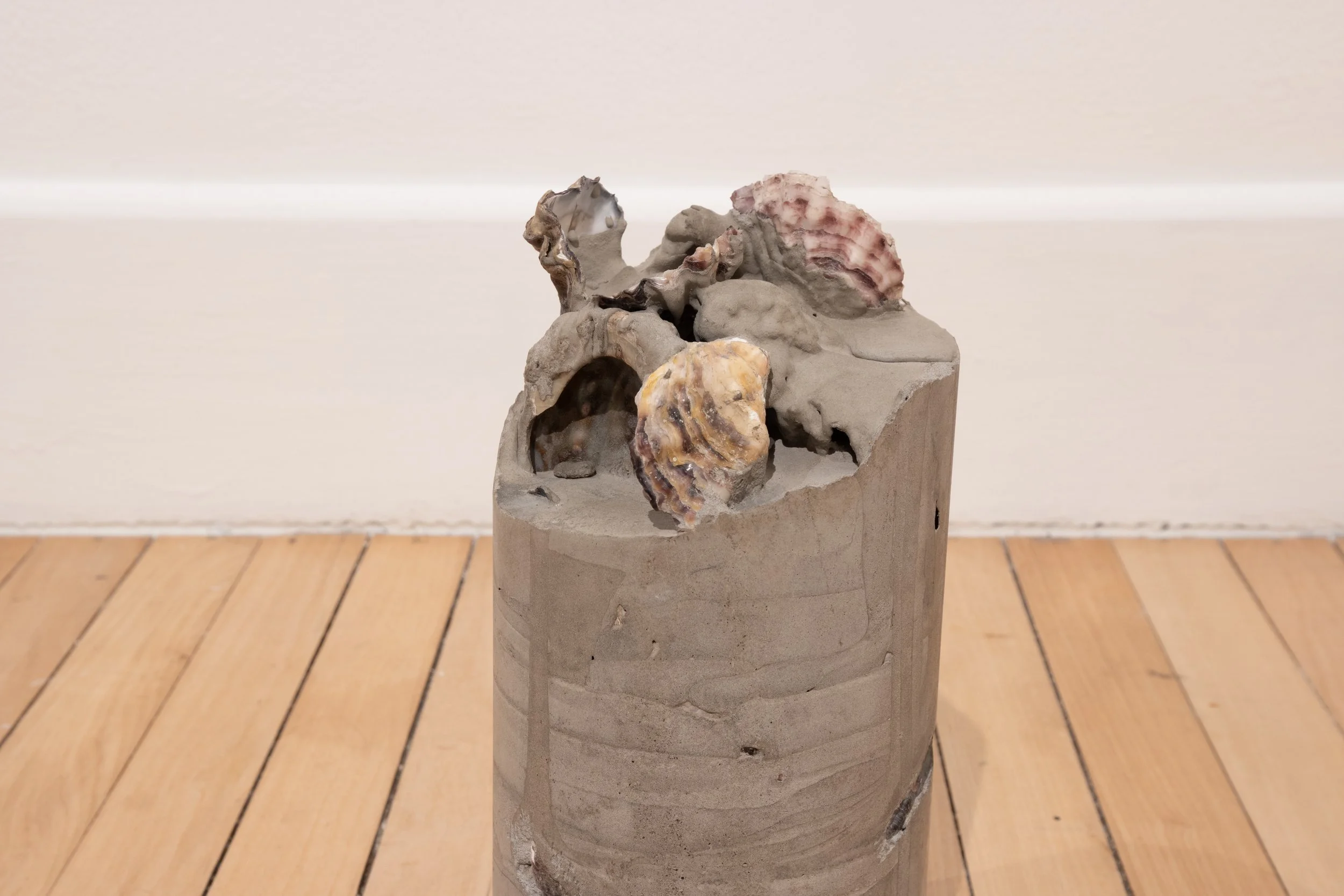 Megan Cope, Untitled (Extractions II), Installation view Te Au: Liquid Constituencies. Concrete, pacific oyster shells, abalone shell. Courtesy of the artist and Milani Gallery, Brisbane. Photo: Bryan James.