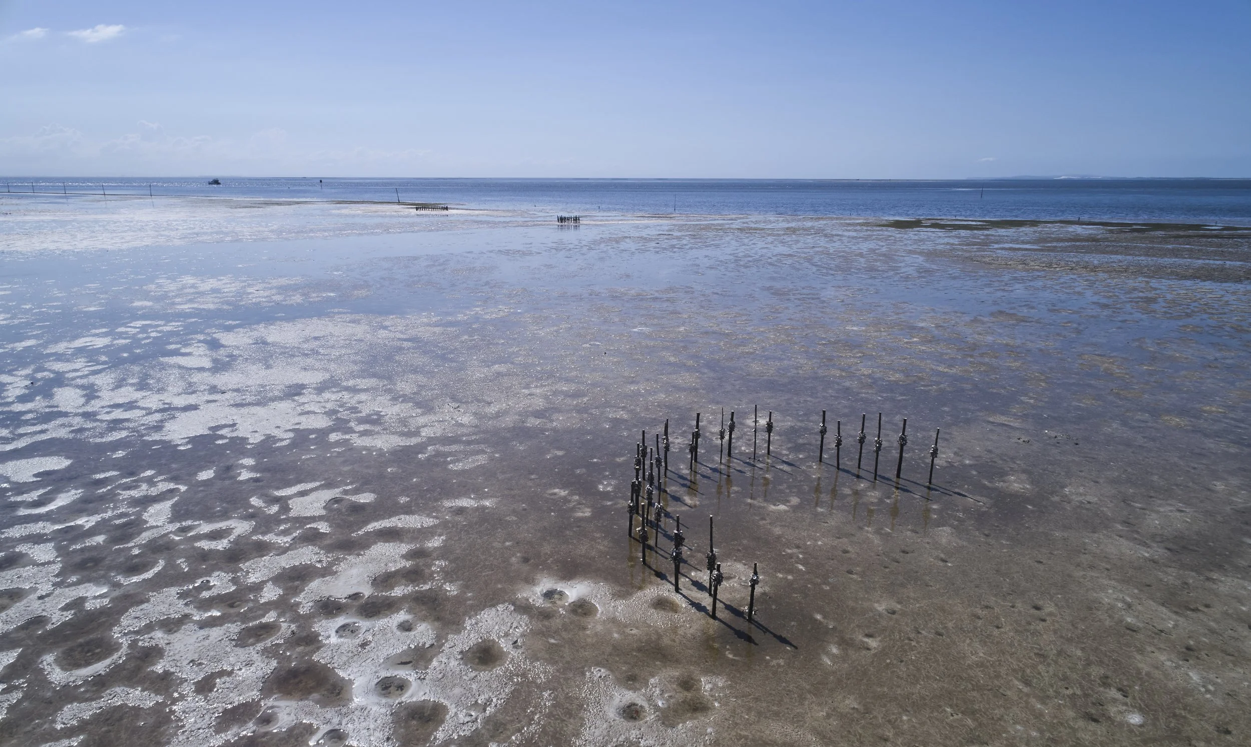 DJI_0159.jpg
