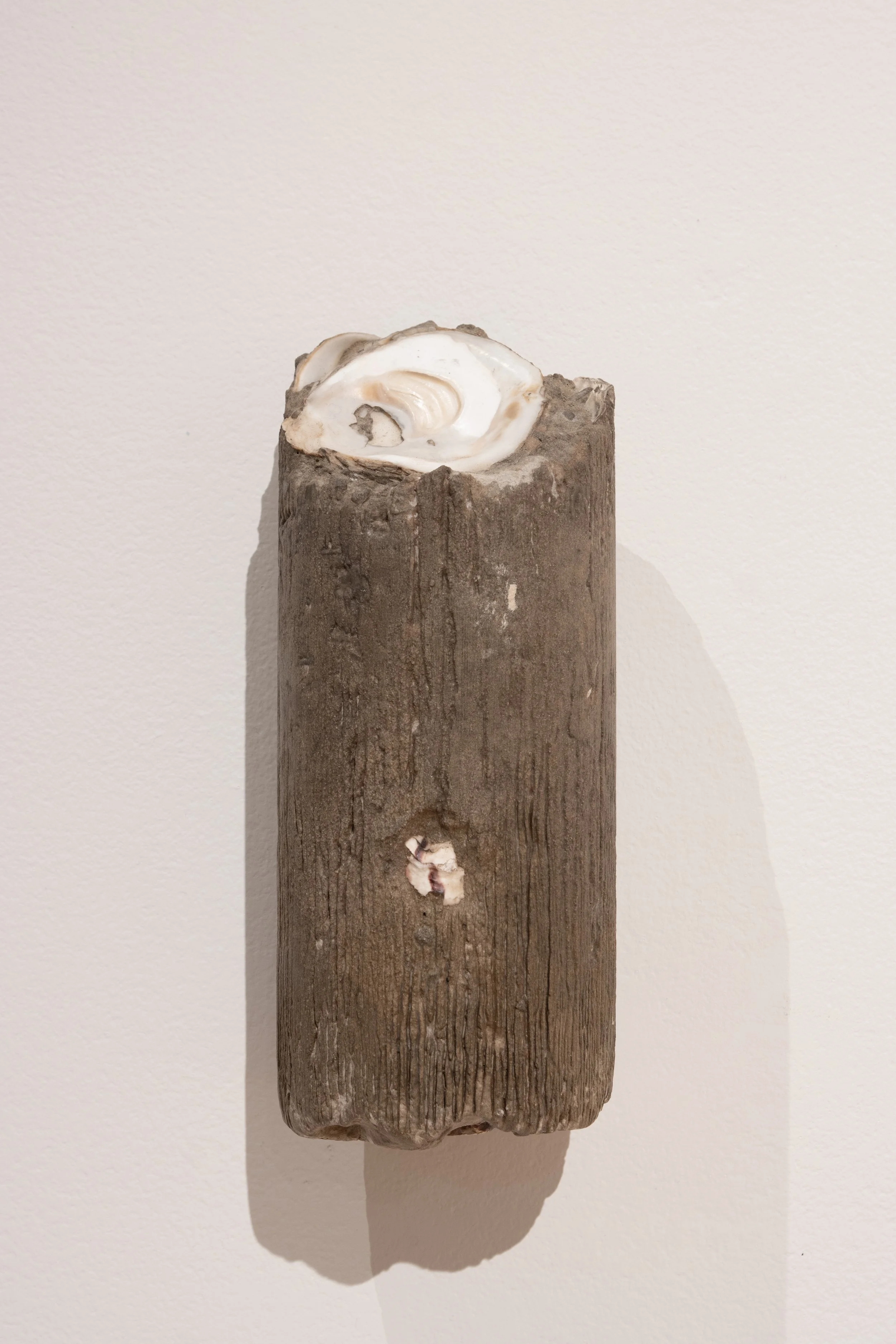 Megan Cope, Untitled (Extractions II), Installation view Te Au: Liquid Constituencies. Concrete, pacific oyster shells, abalone shell. Courtesy of the artist and Milani Gallery, Brisbane. Photo: Bryan James.