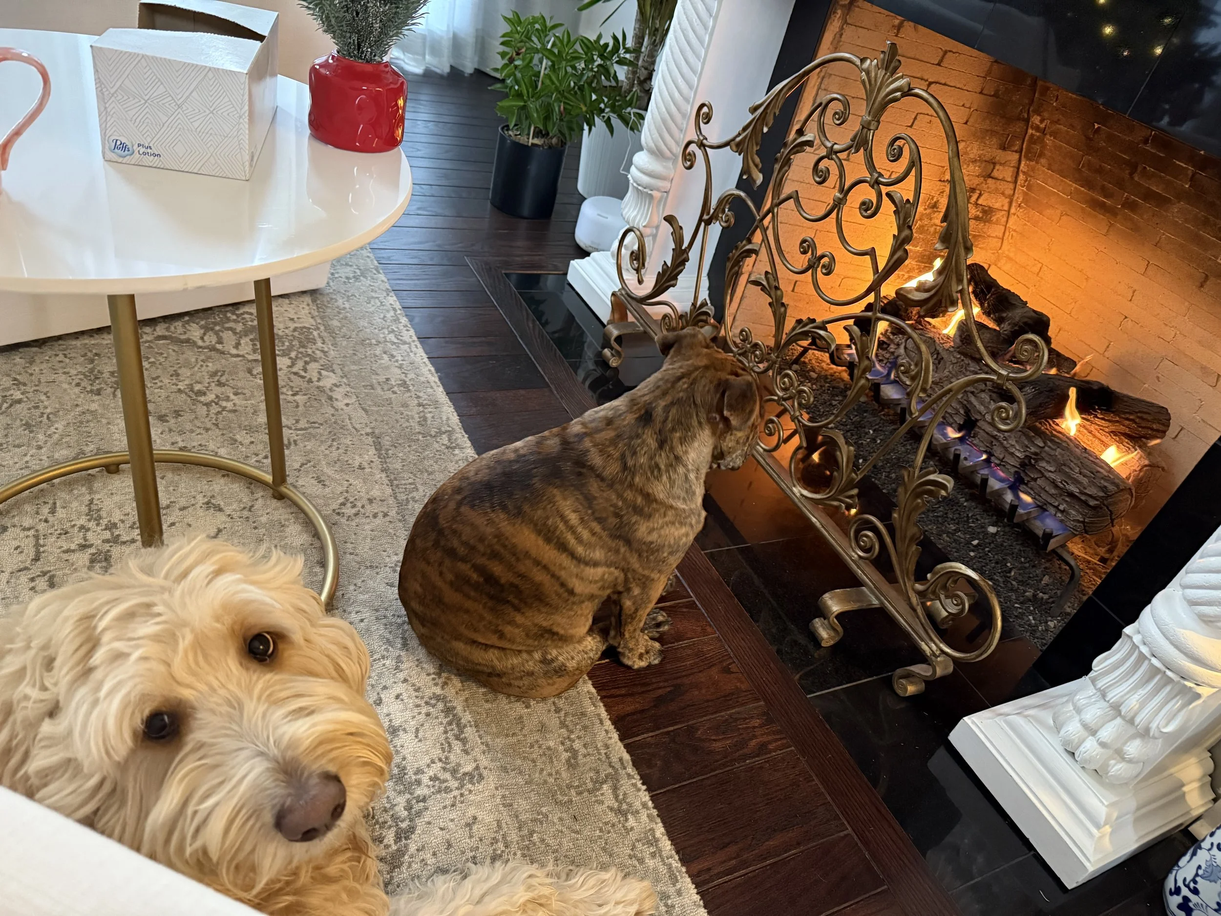 Why Christmas Feels So Overwhelming for Moms — And What Actually Helps