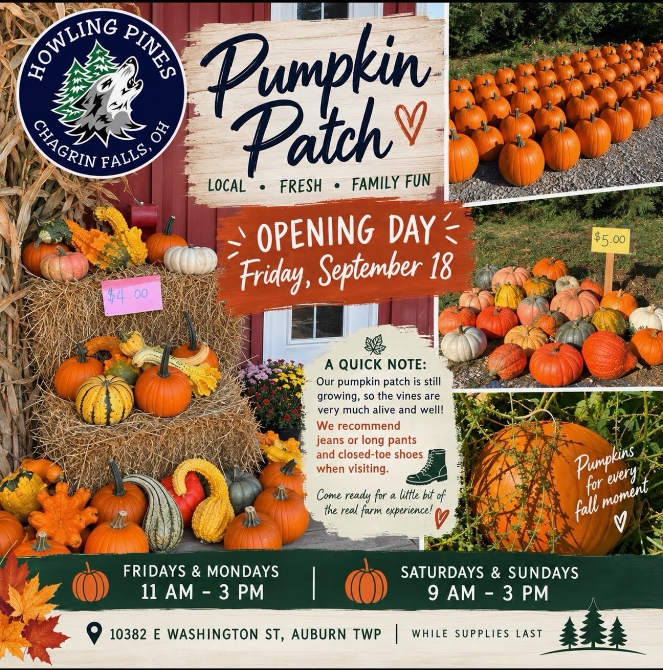 Oh My Oh My it&rsquo;s PUMPKIN TIME! 

We welcome you to our first ever pumpkin patch! How fun to creep through the patch to find your perfect porch decor or that spooky jack-o&rsquo;-lantern 🎃 

Notice the days and hours we will be open specificall