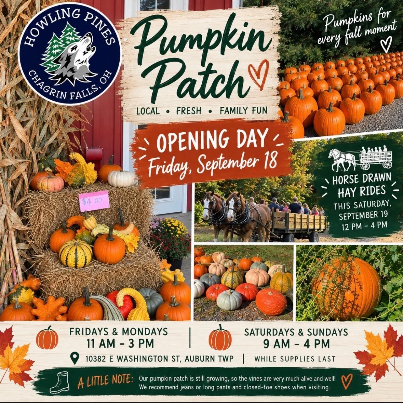 HAY RIDES TODAY! $

Come out to begin celebrating the start of fall!

#ohiofall #ohioautumn #ohiofarm #chagrinfalls #chagrinfallsohio