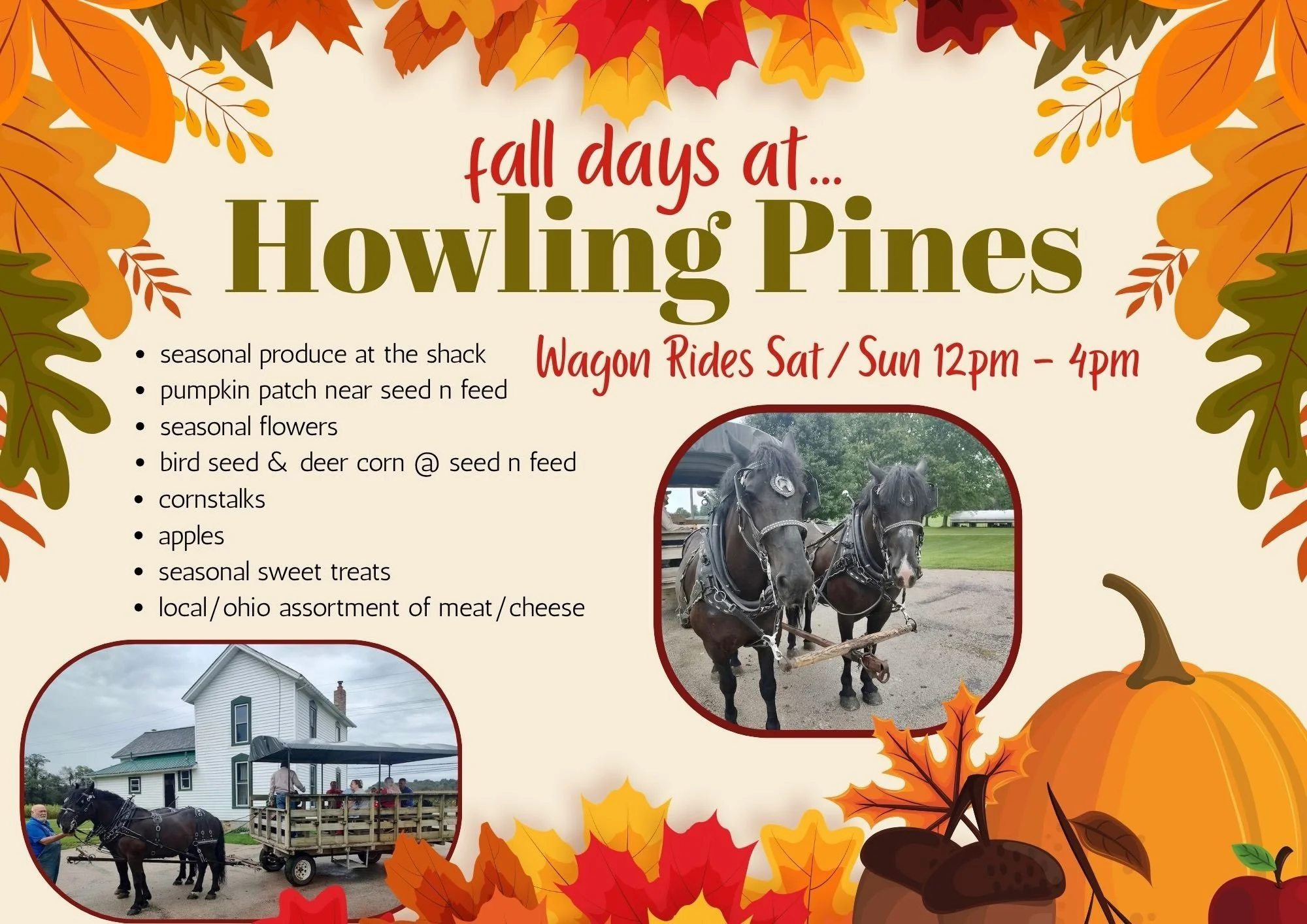 Today &amp; Tomorrow!