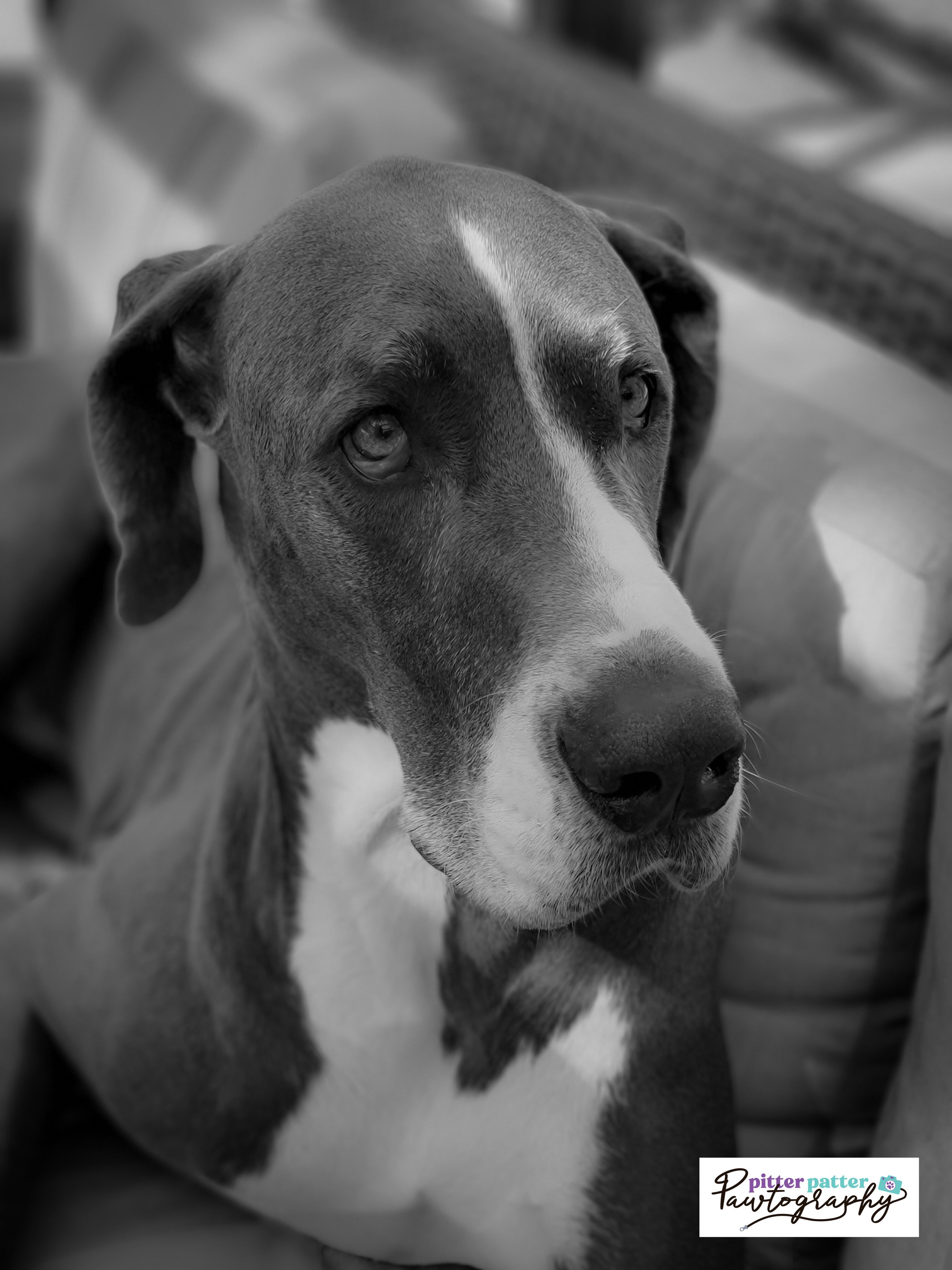 20220329_161421.jpg