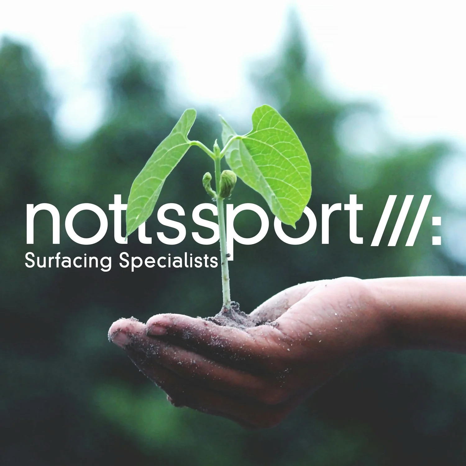 Our Monthly Commitment to Sustainability - September