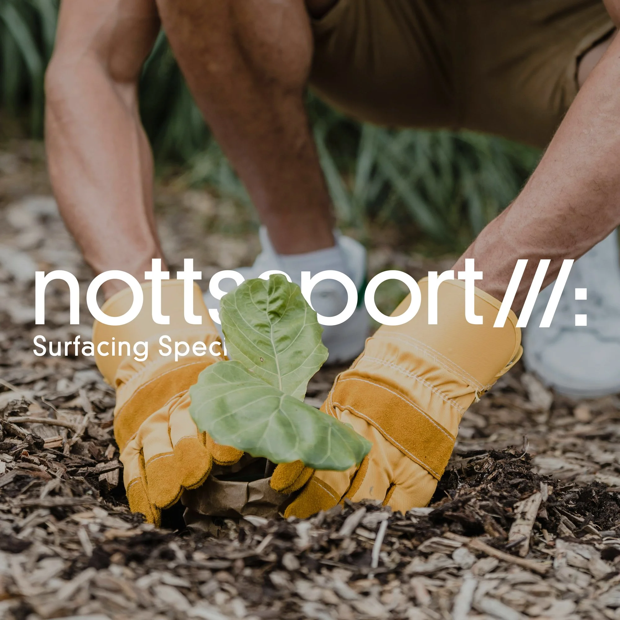 Our Monthly Commitment to Sustainability - January 2026