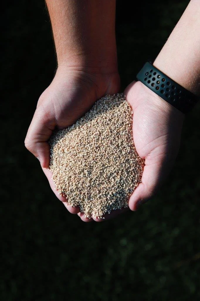 Preston School_Corn Infill-04.jpg