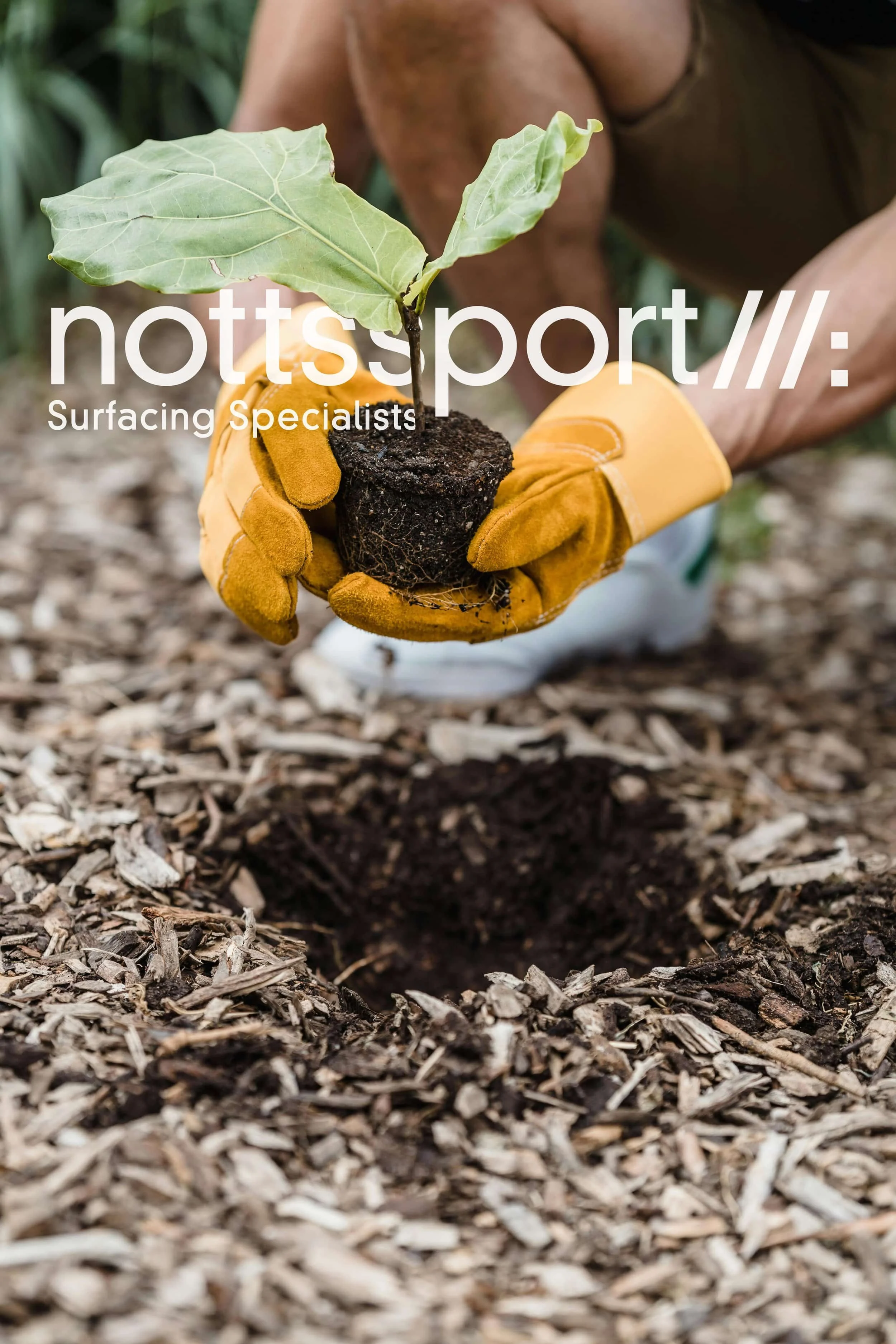 Notts Sport Reforestation Efforts