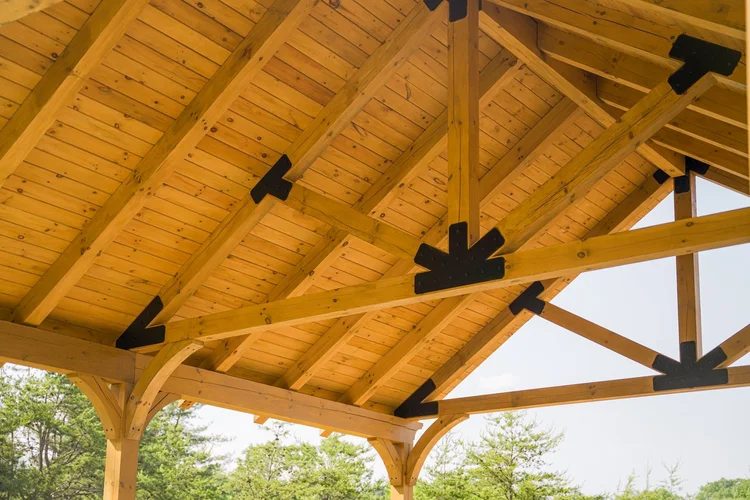 Little Buffalo pavilion interior looking up at timber trusses