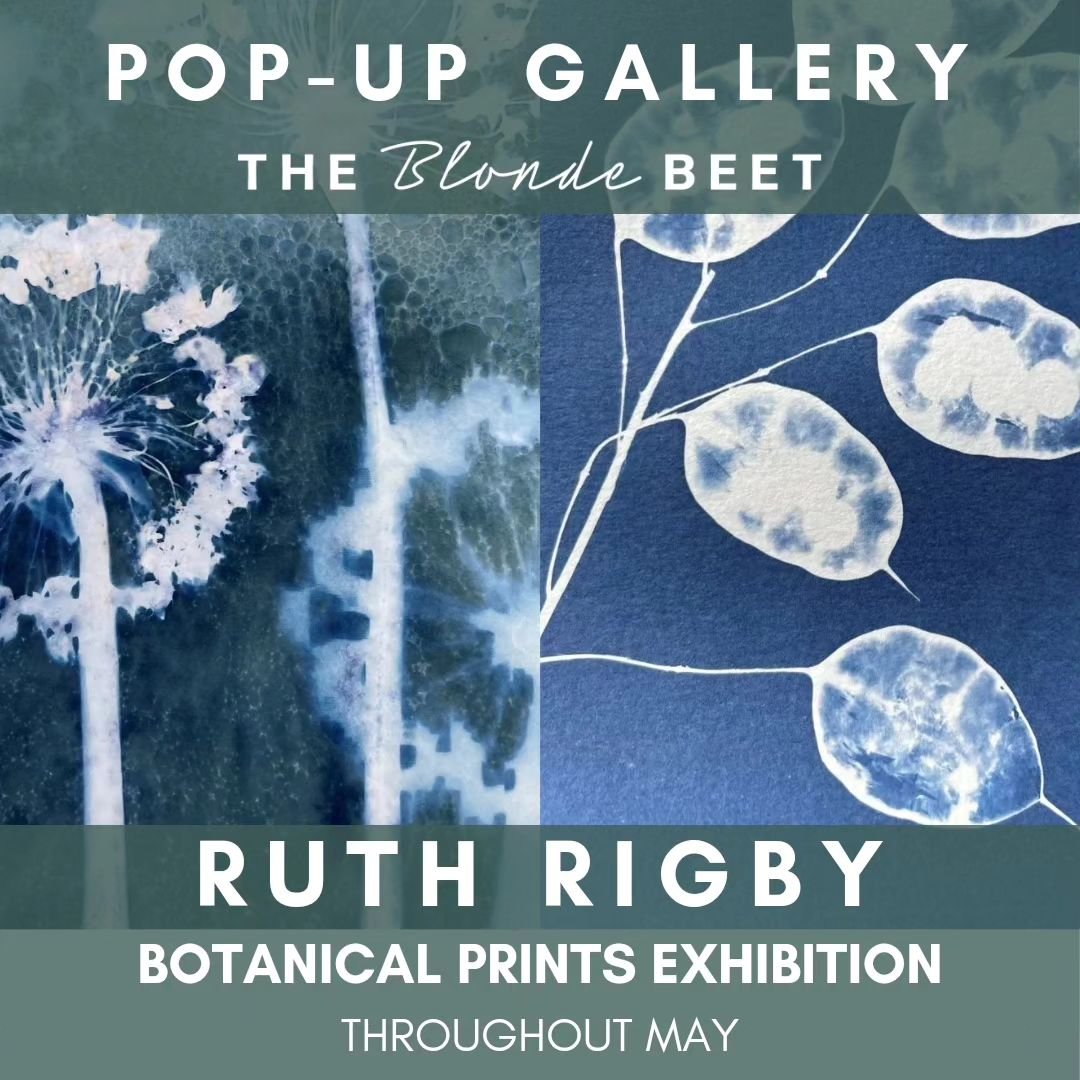 Next week sees the start of our new pop-up gallery, and it's going to be a stunner!

Ruth is a cyanotype artist - an alternative photography technique that doesn't use a camera. This technique combines Ruth's love of science and the natural world and