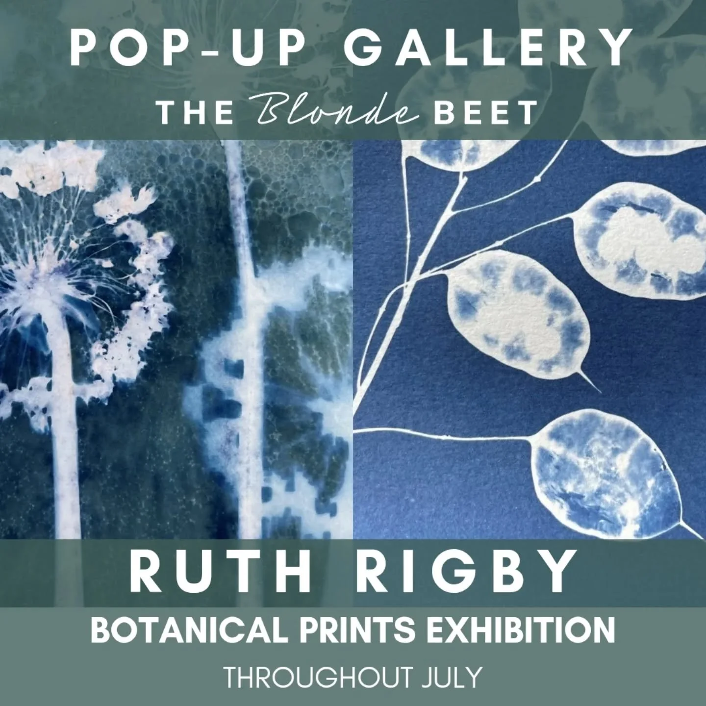 Our walls are now adorned with stunning new artwork from the very talented Ruth Rigby of @brillianceinblue 💙

Her cyanotypes of beautiful botanics just glorious. And we sold 4 on day one!! 

They are up throughout July so come in for a cuppa and tak