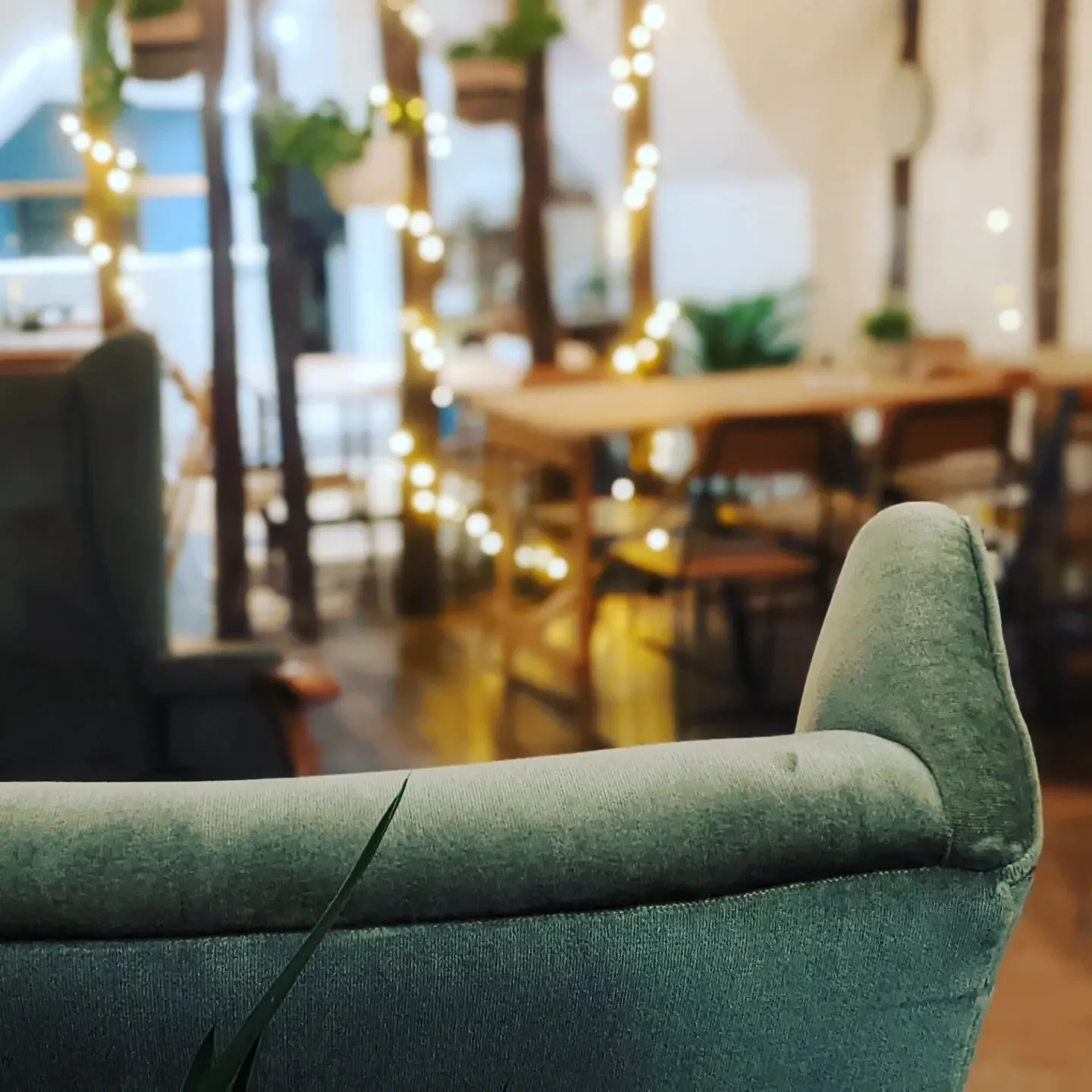 272875355_509123793893321_8824940163259722200_n (1).jpg