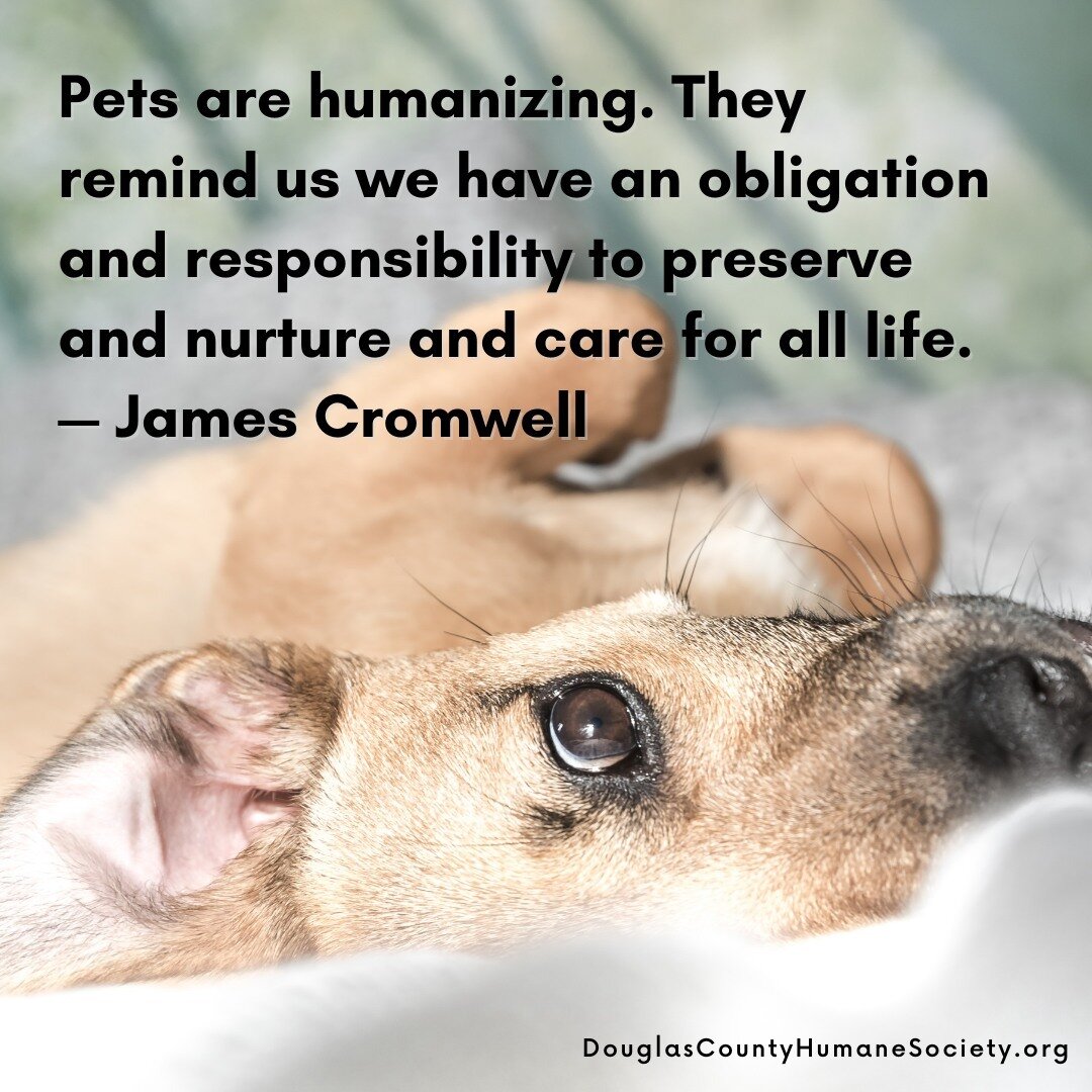 Pets are humanizing. They remind us we have an obligation and responsibility to preserve and nurture and care for all life. &mdash; James Cromwell #quotes