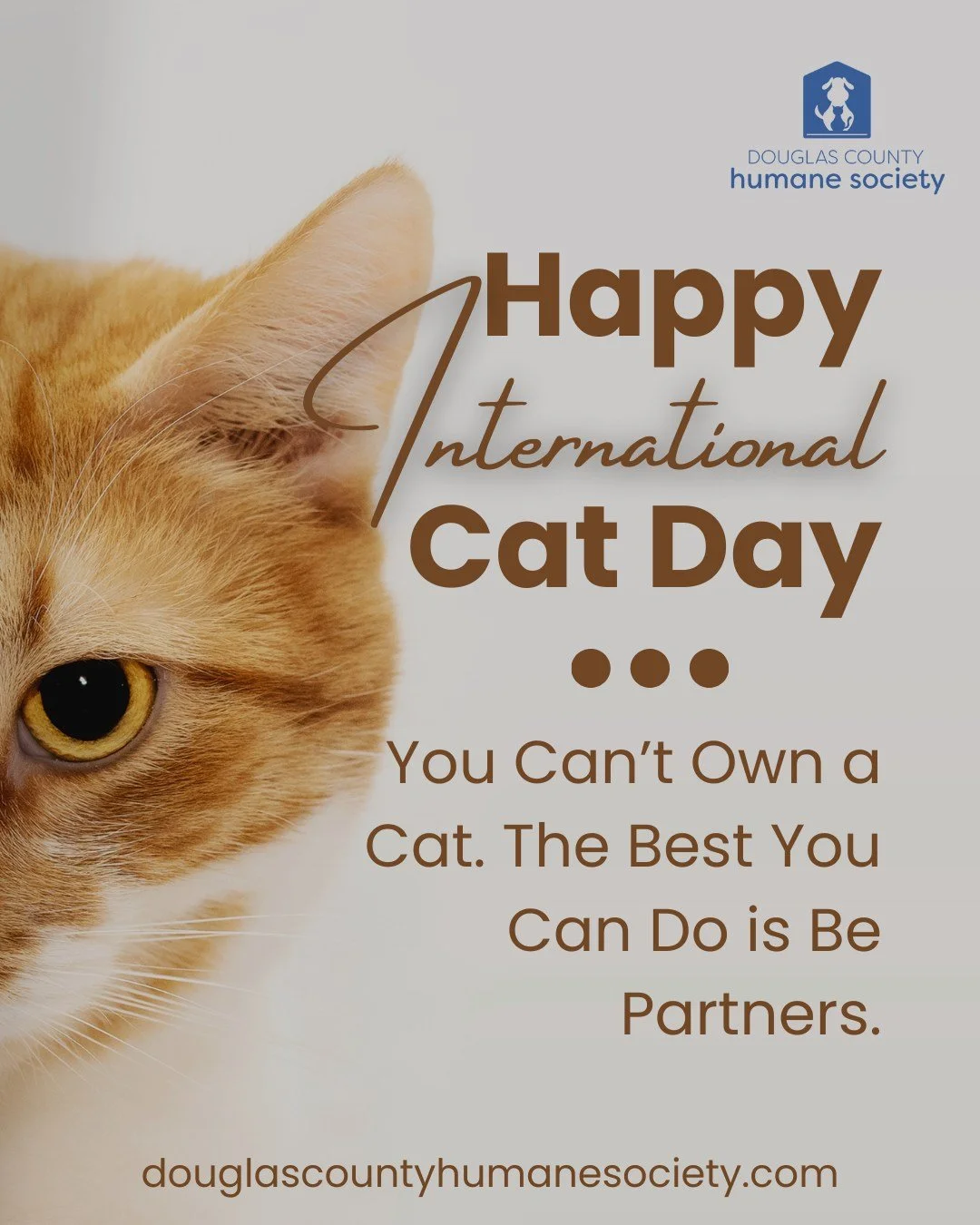 Today we celebrate the cats who&rsquo;ve found their forever families&mdash;and those still waiting. 🐾
❤️ Thank you for supporting rescue and adoption! 
🐈&zwj;⬛ Tag us in a photo of your adopted kitty and let&rsquo;s fill this feed with feline joy!