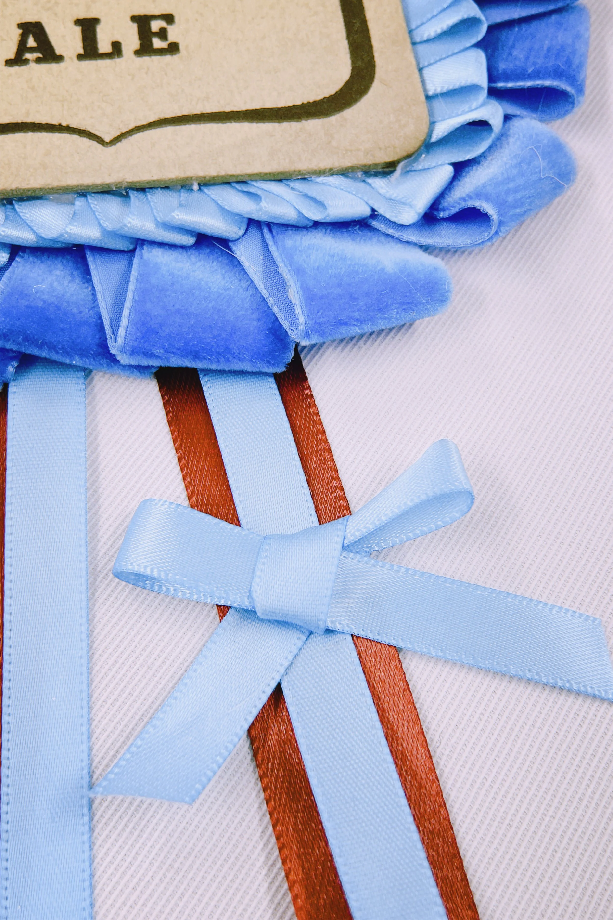 ct2f 2025-12-15 163215.207.JPG