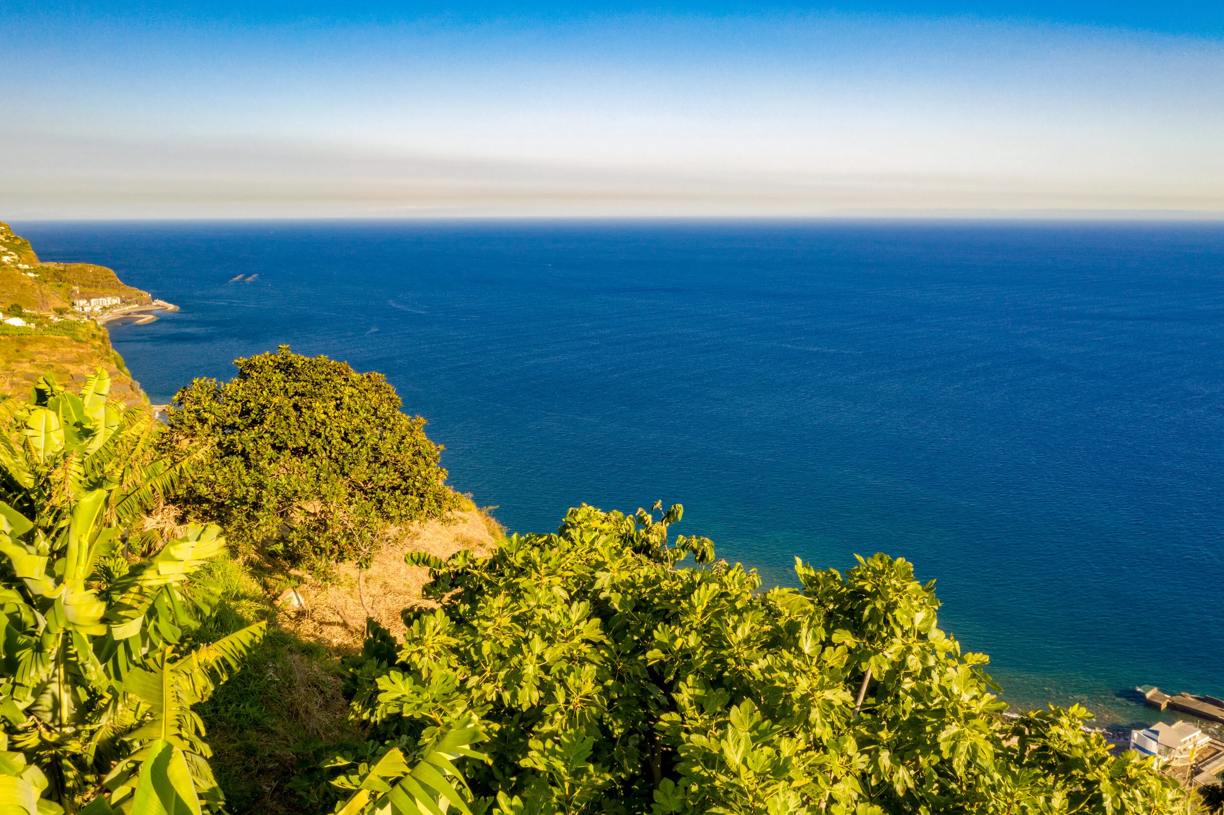 DJI_0708.jpg