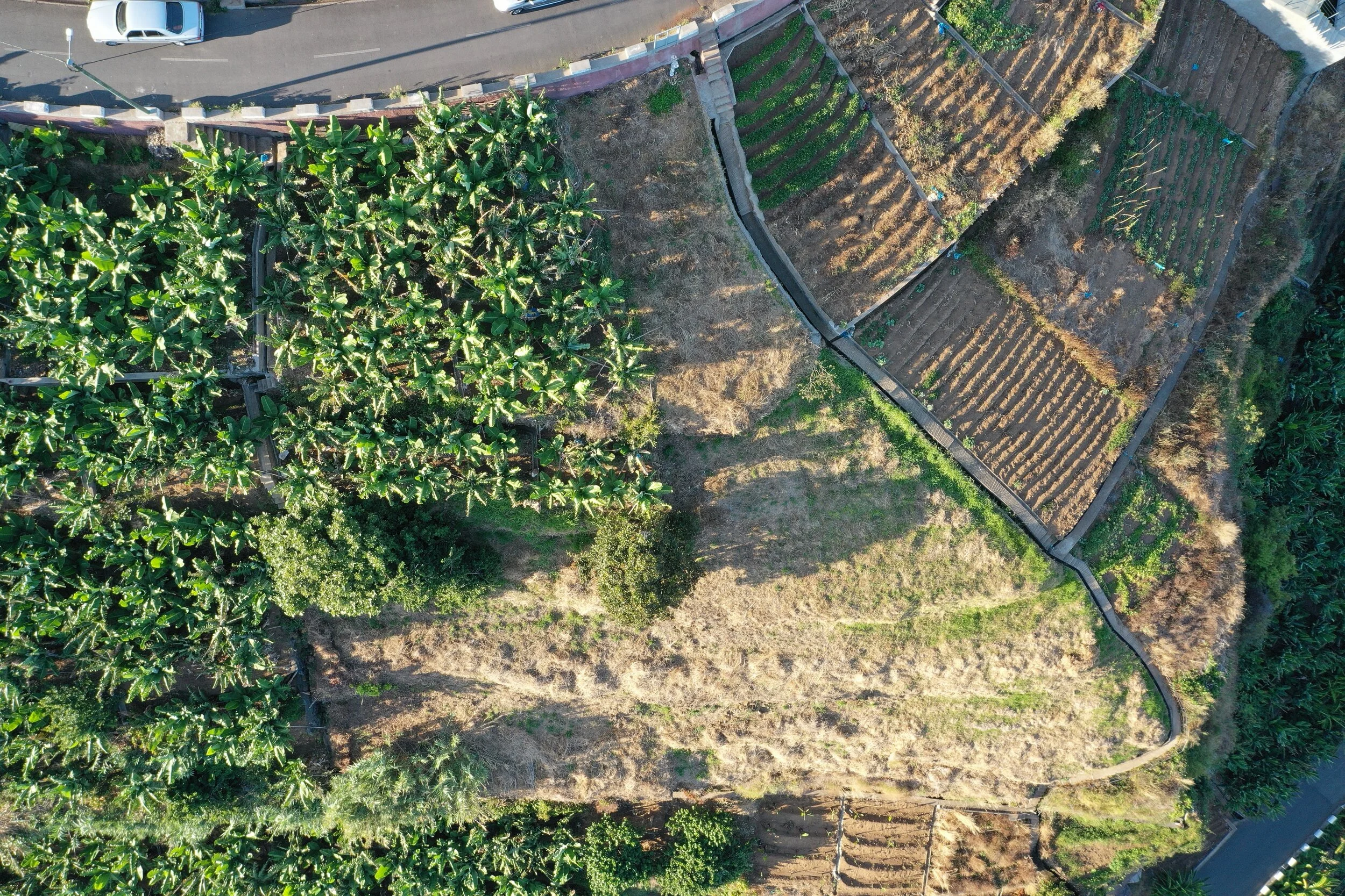 DJI_0752 (2).JPG