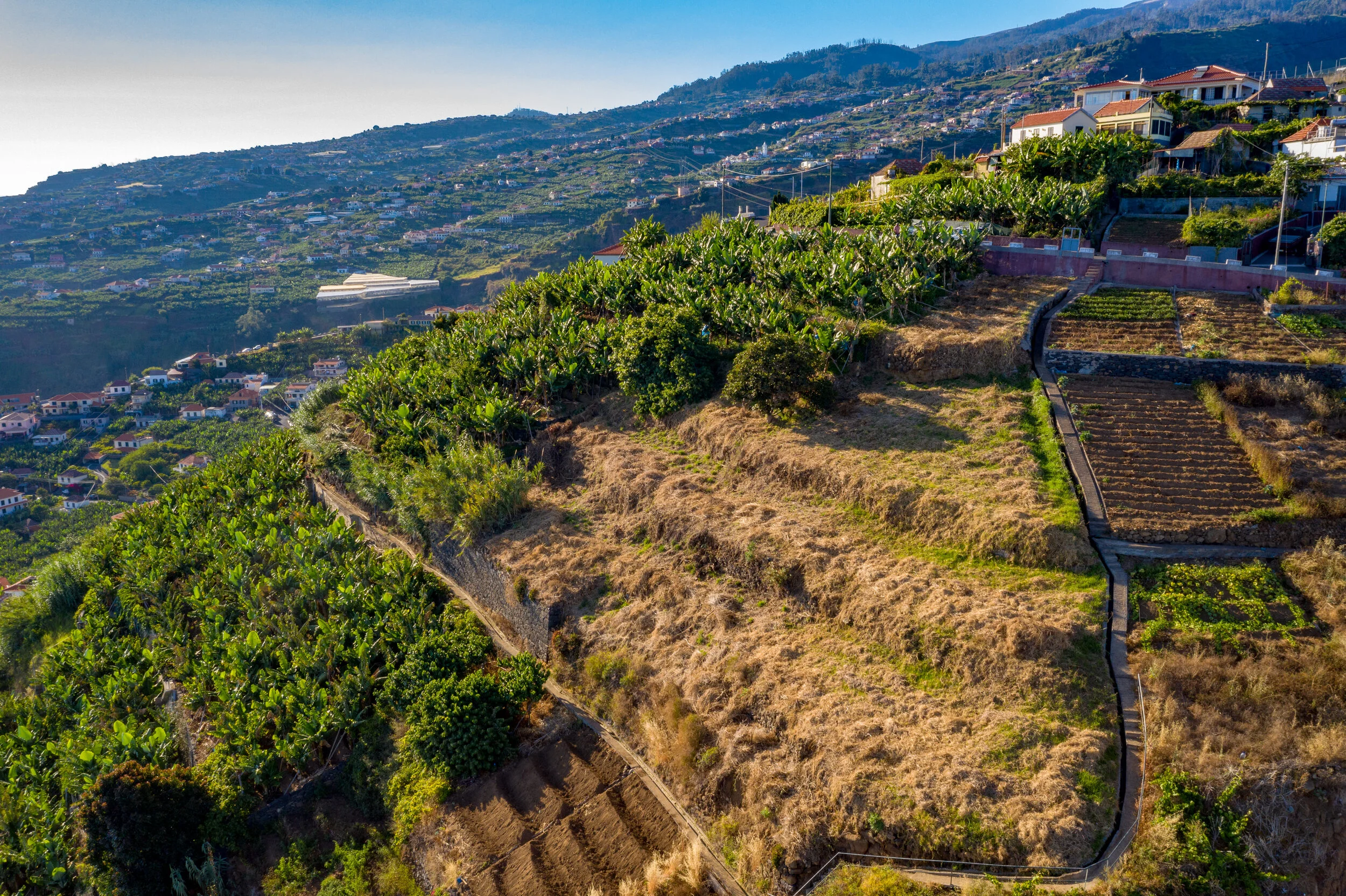 DJI_0718.jpg