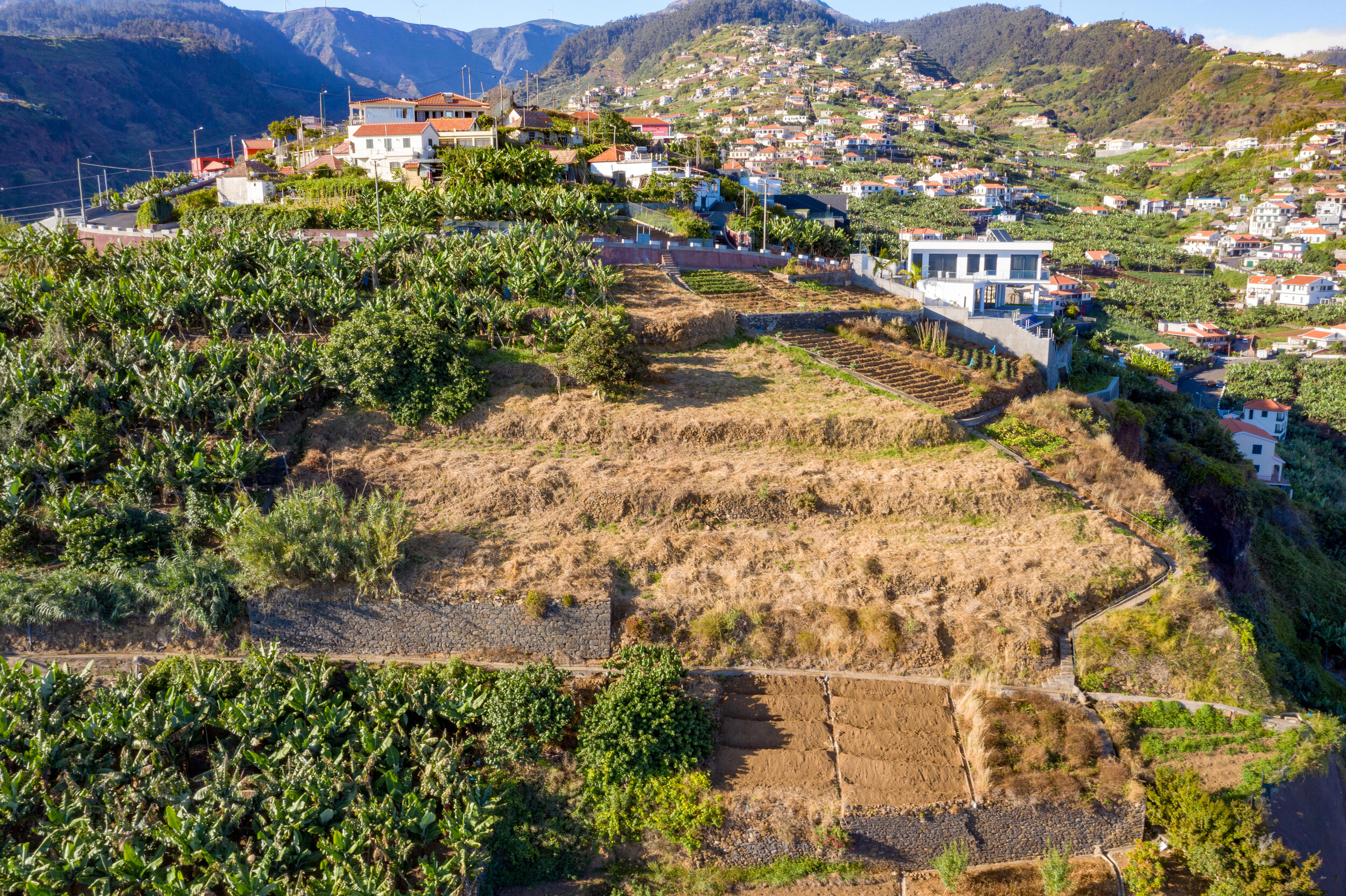 DJI_0695.jpg