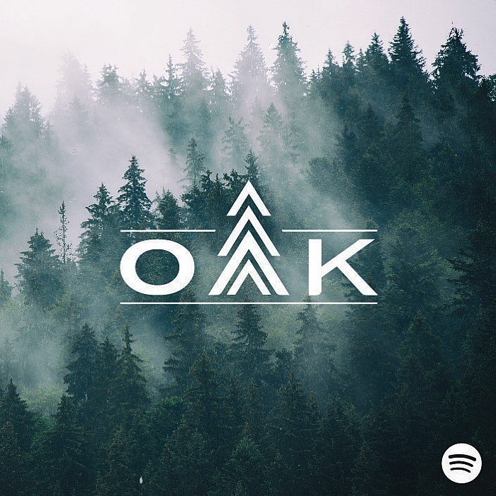 Oak Marketing is built on a promise and calling from God, to be an oak of righteousness, a planting of the Lord for the display of His splendor (Isaiah 61:3). We invite you to listen to our Spotify playlist (the same one that was worshipped to in the