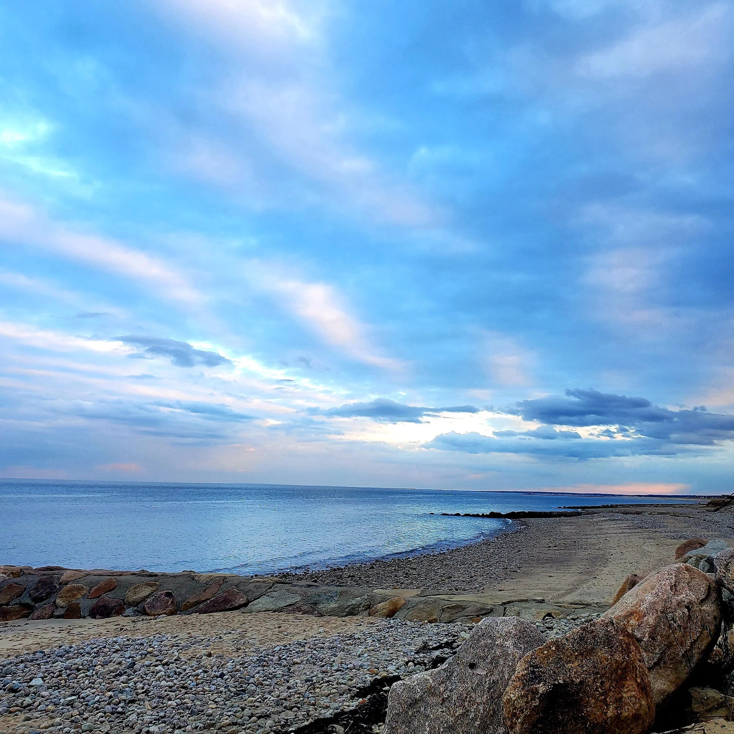 Therapy/Medication Management