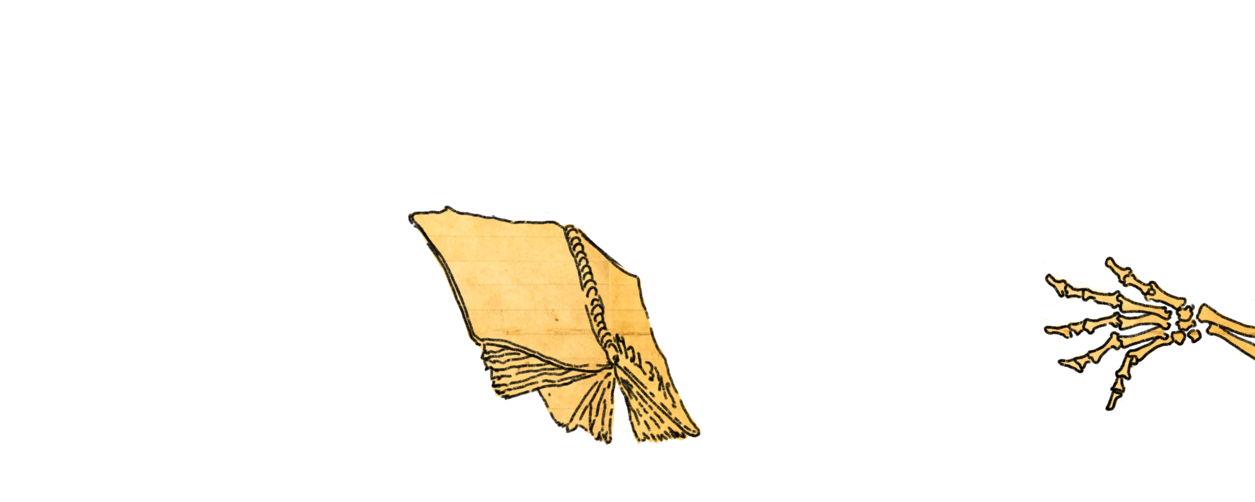 F17B4C5F-28BB-4426-9E05-828D10FDBBE5.png