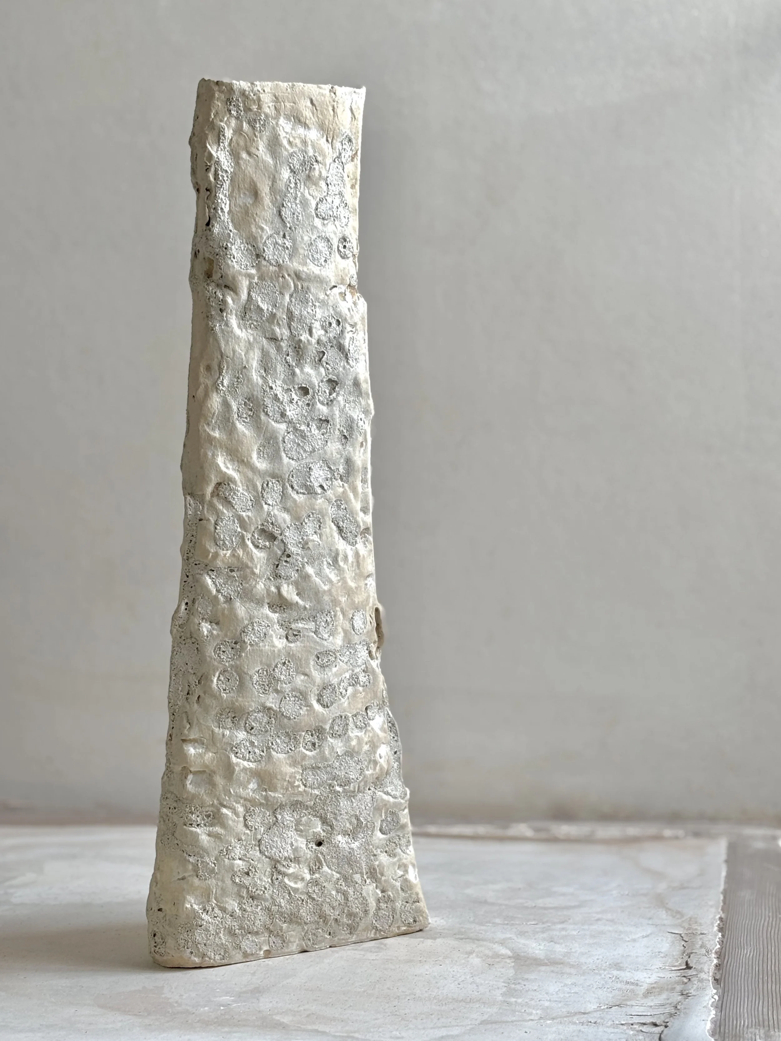 Belkin Harvey-Tara1 (1).jpeg