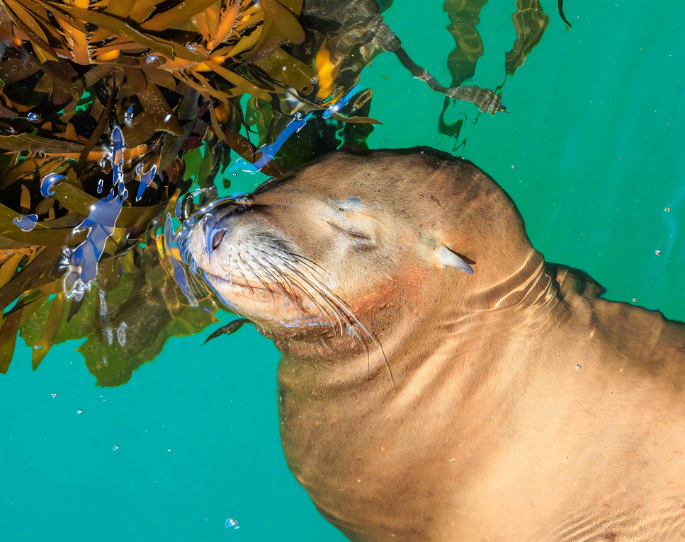 Screenshot 2026-03-16 144623.png