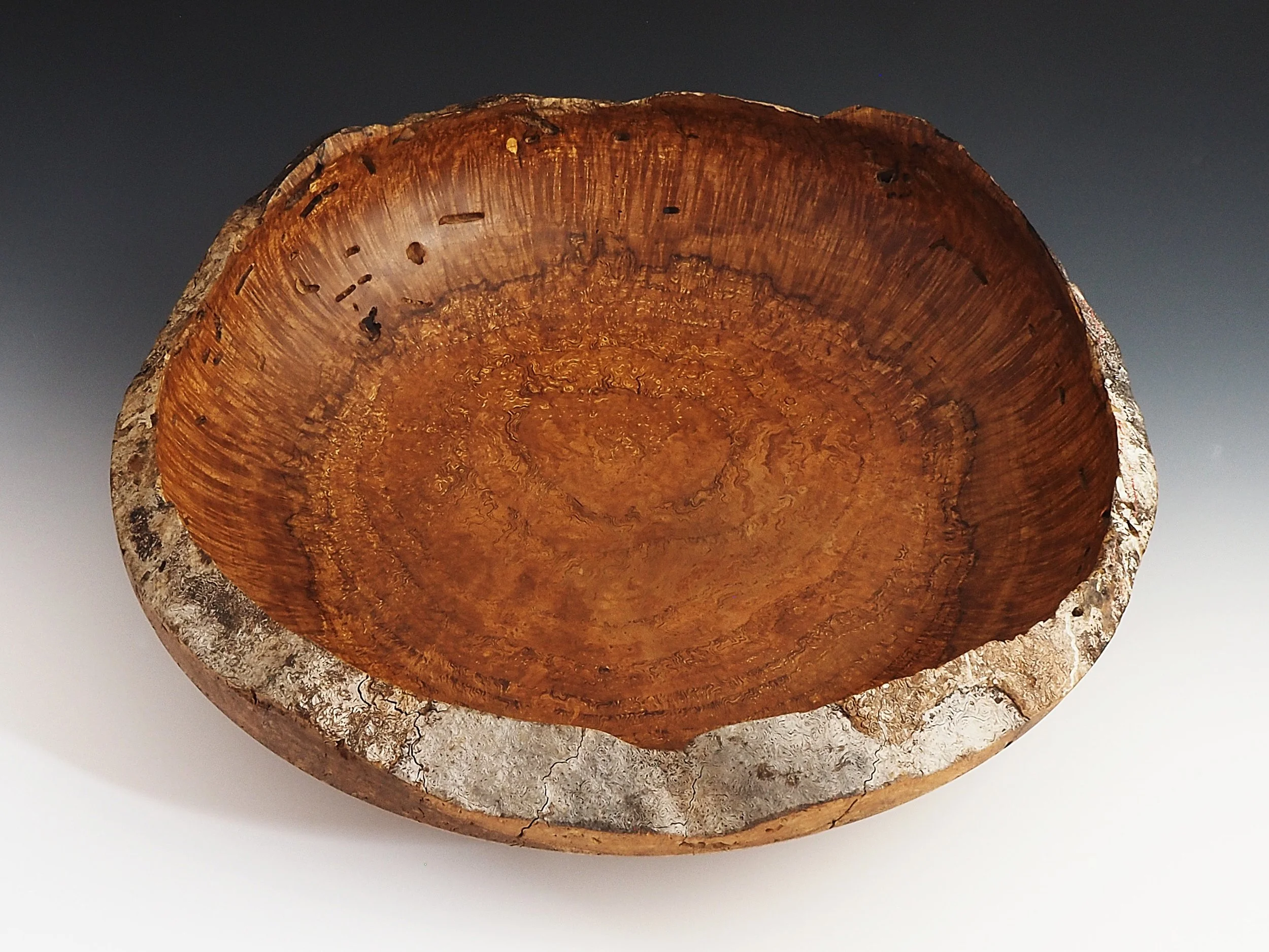 forrest-steve2 (1).JPG