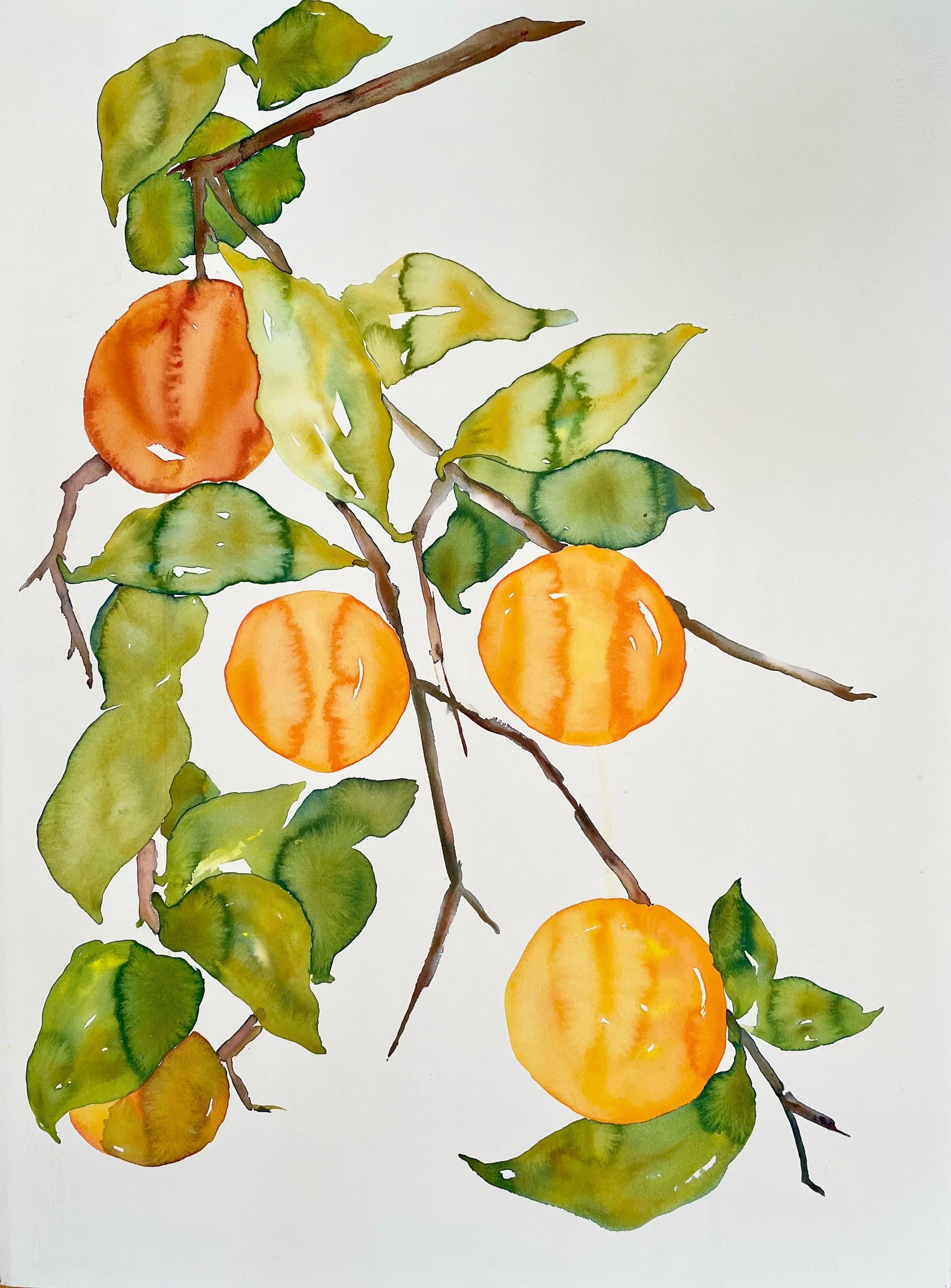 OTRTB_Oranges.jpg