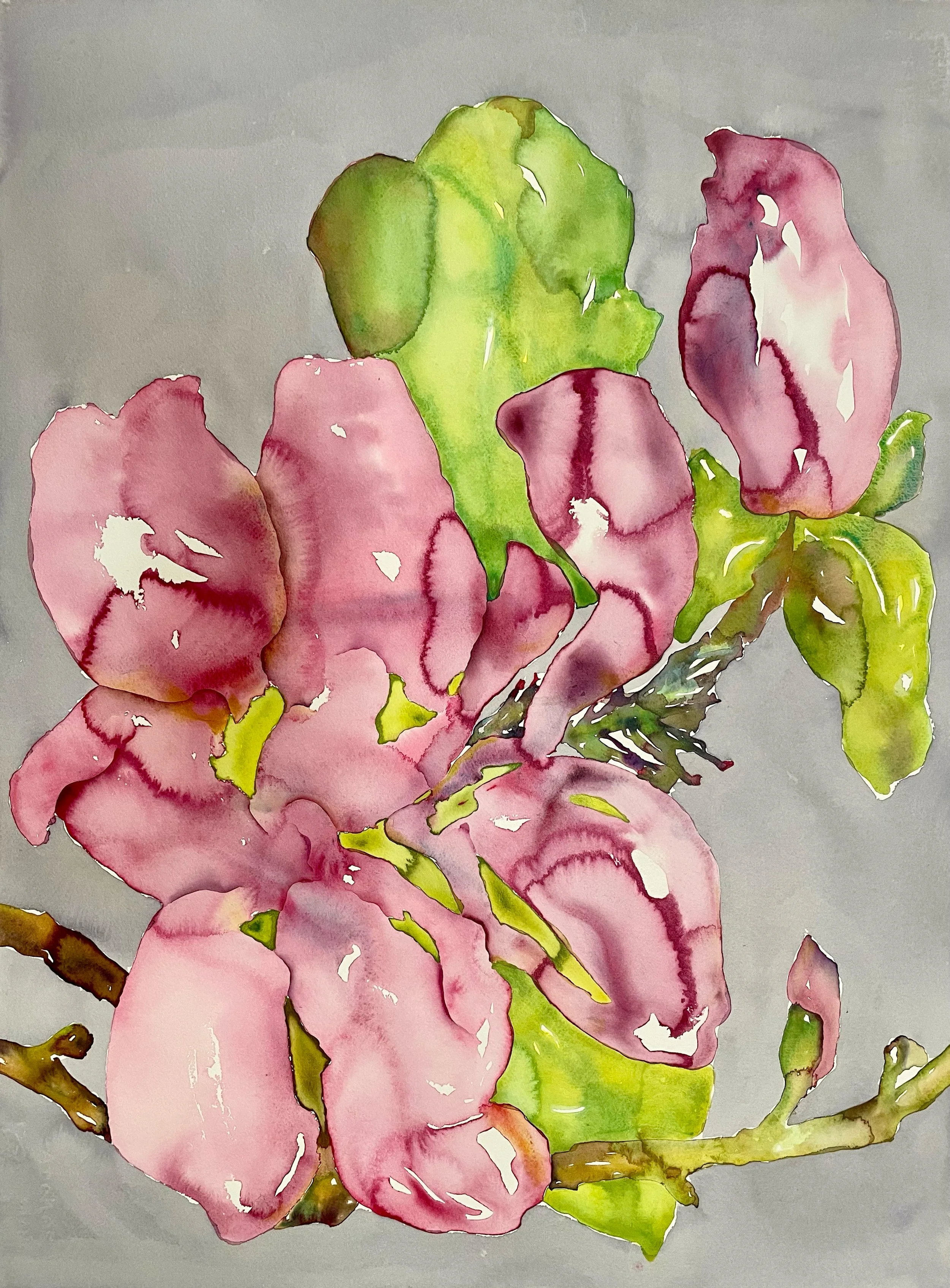 OTRTB_Magnolia Blossom.jpg