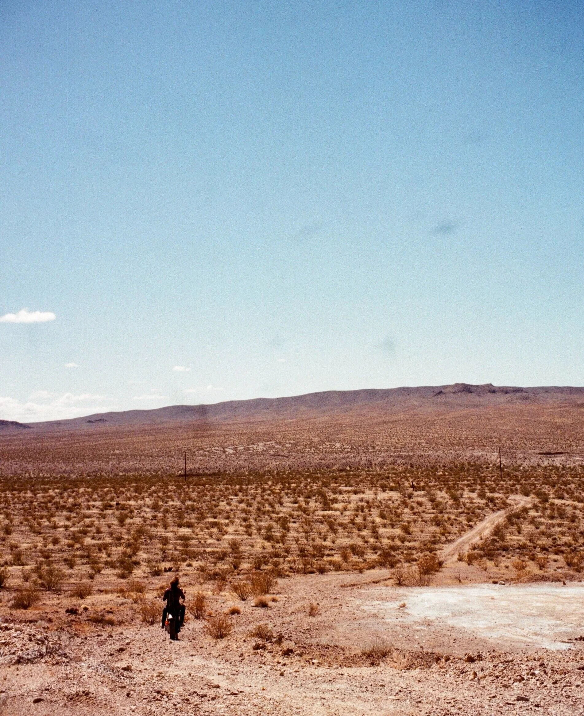 Joshua Tree, California
