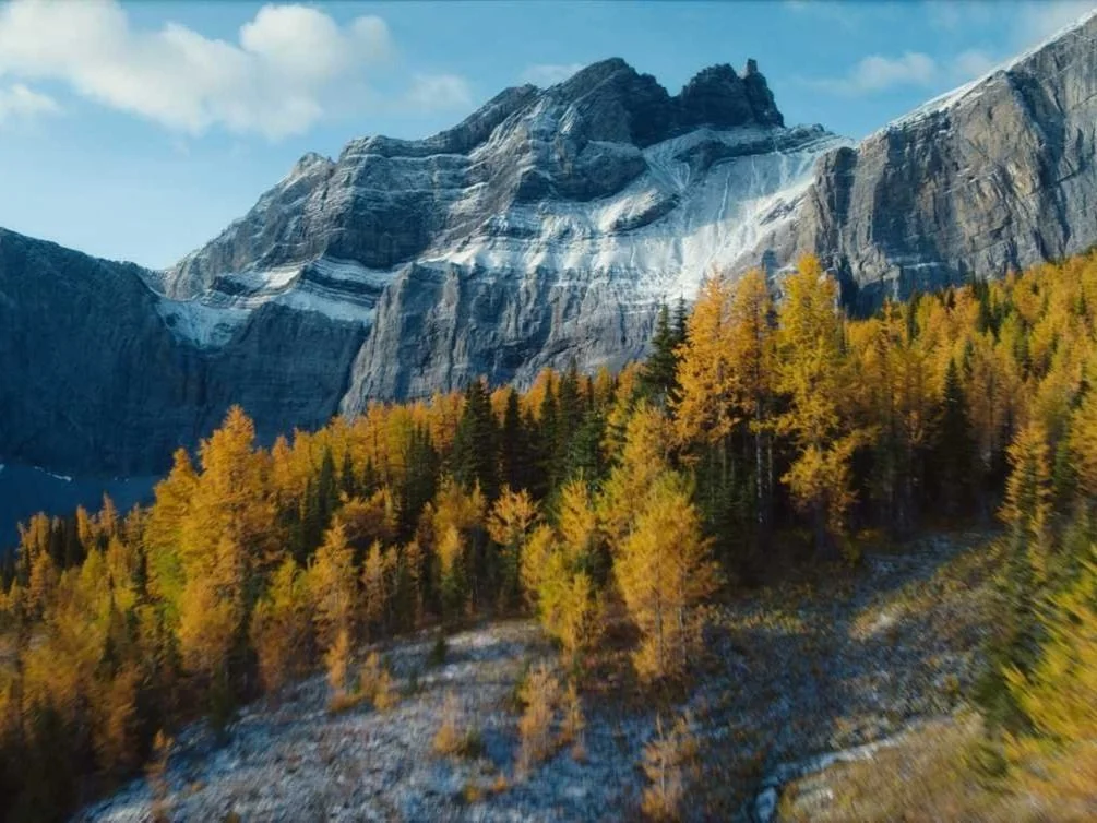 What does it take to get that delicious Belvedere taste? It’s because the elements of this world do wonders, each in a unique way. From purified water to Polish rye, Belvedere is then distilled by fire— a beautiful process that is always worth celebr