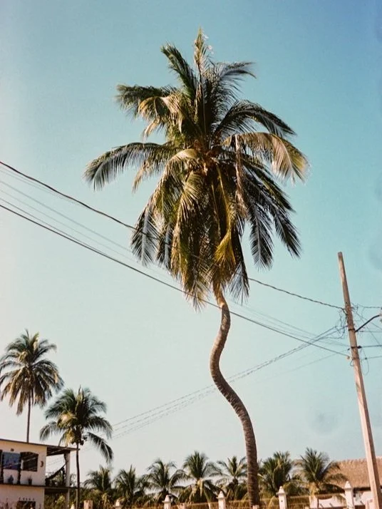 Puerto Escondido, Oaxaca, México