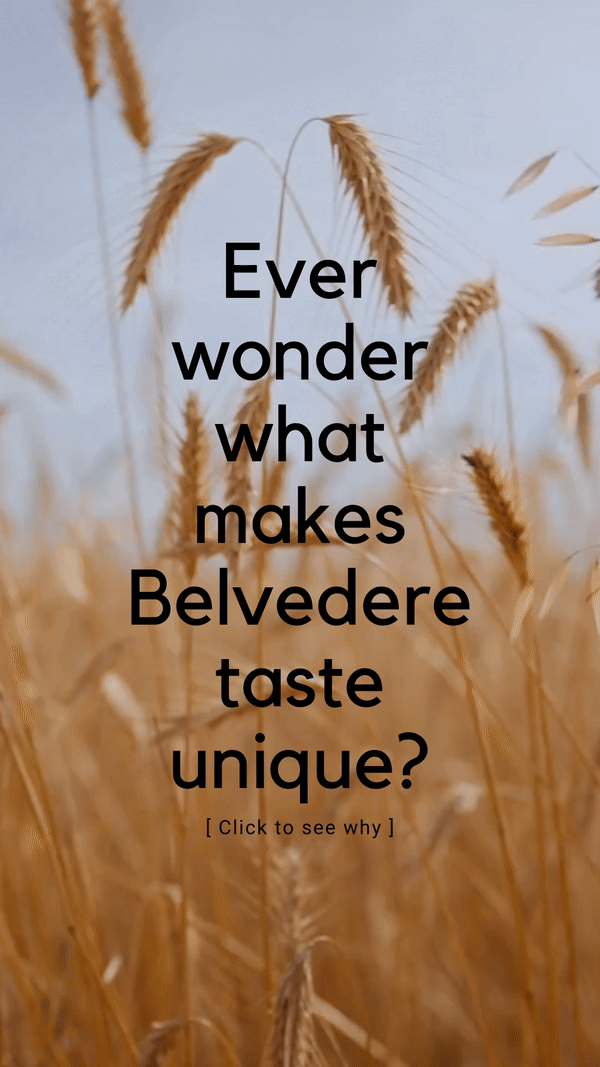 ezgif.com-gif-maker (5).gif