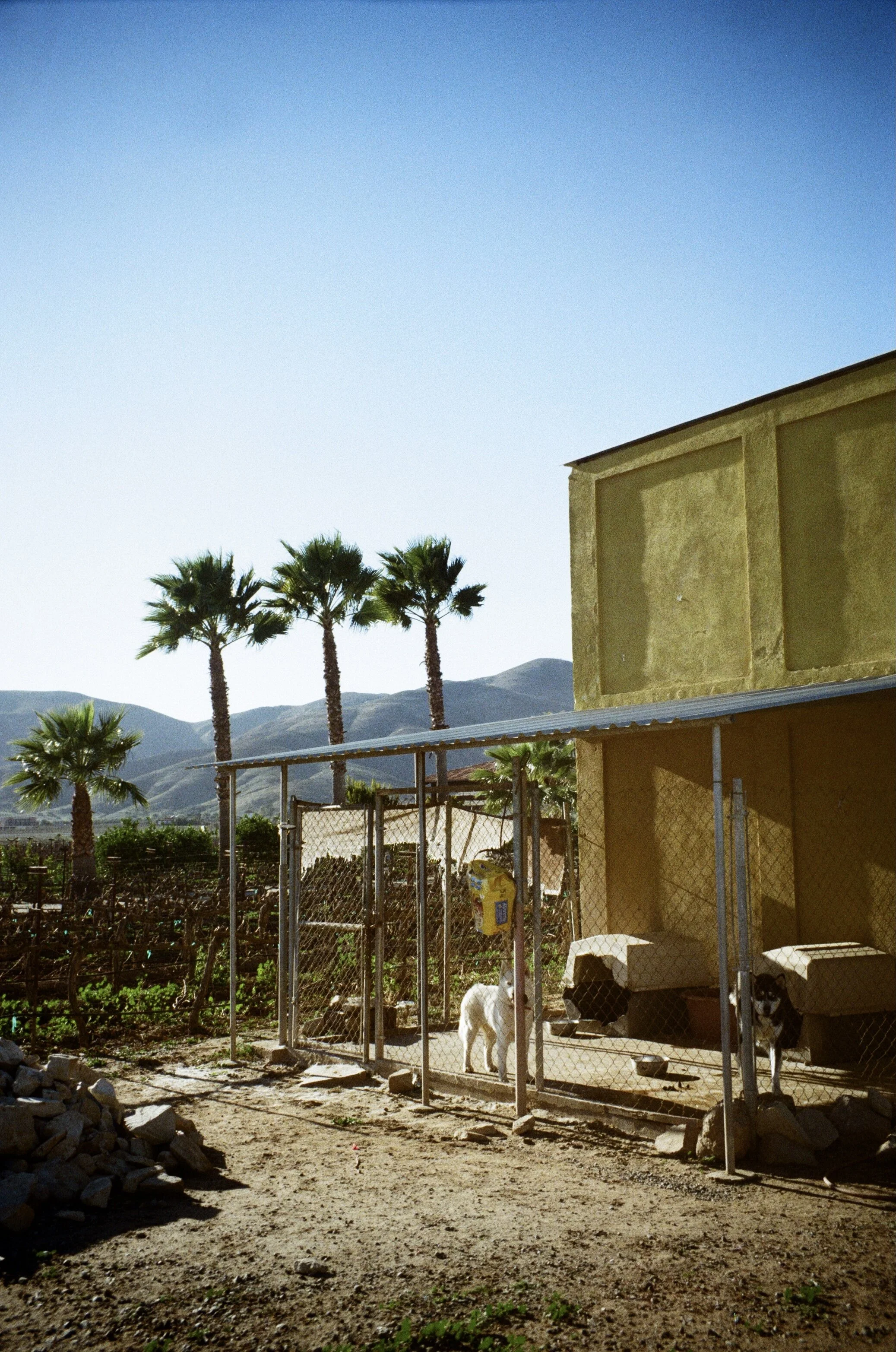 Valle de Guadelupe, Ensenada, Baja California, México