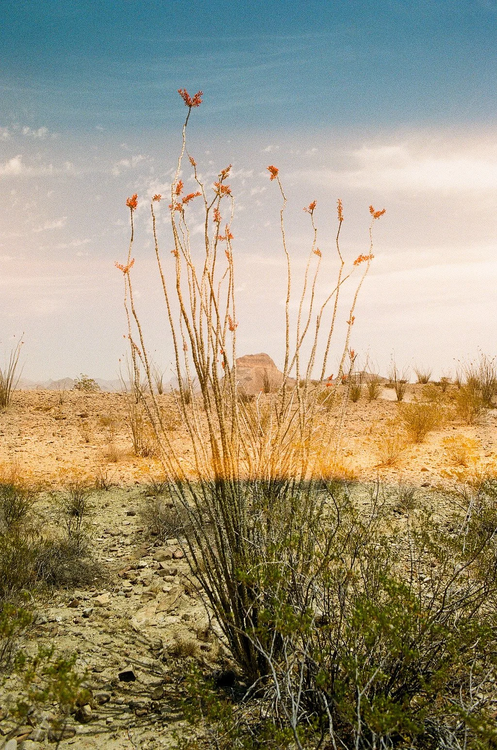 Big Bend, Texas