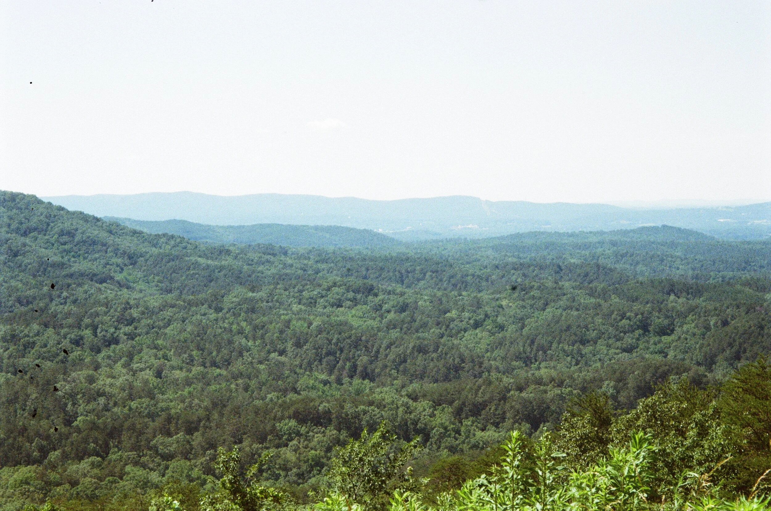 Talladega National Forest, Alabama