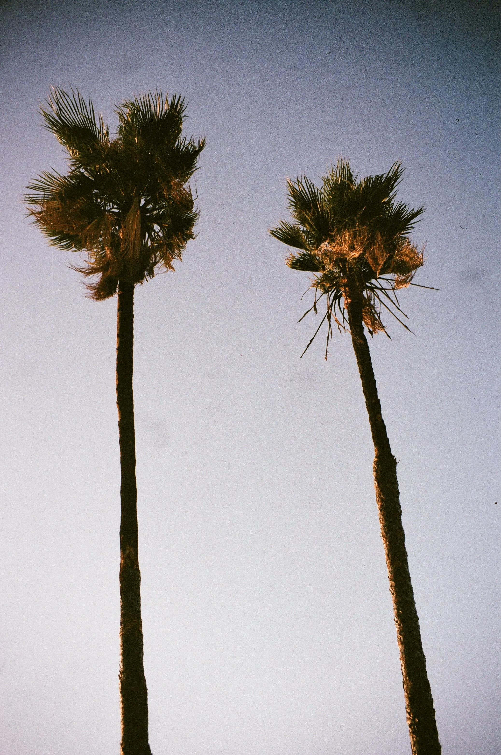 Parker, Arizona