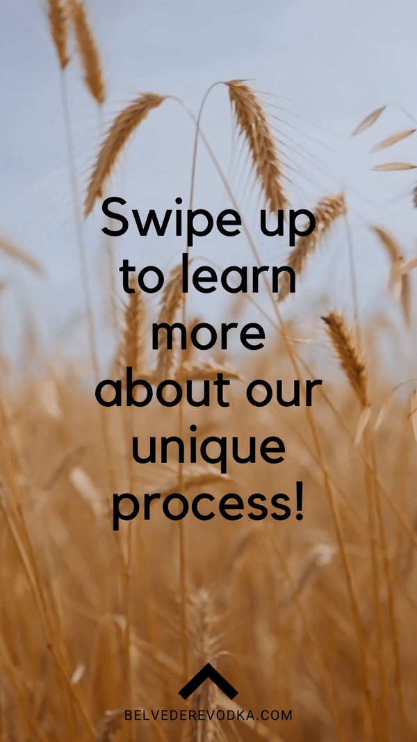 ezgif.com-gif-maker (6).gif