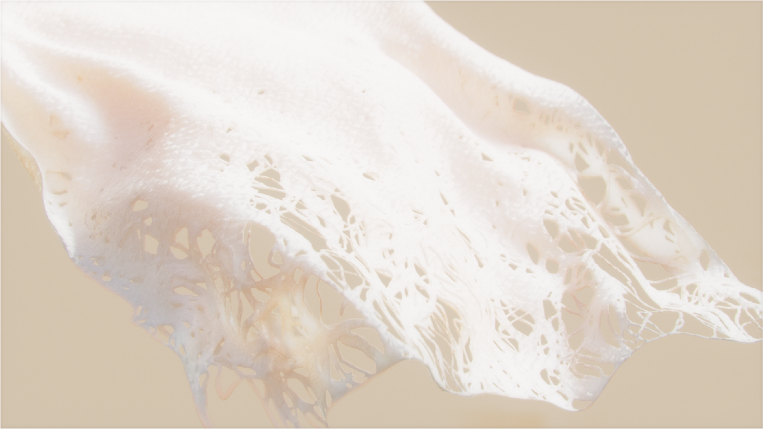 SELECT- Ecovative - Style Frames_ Round2_1-11.png