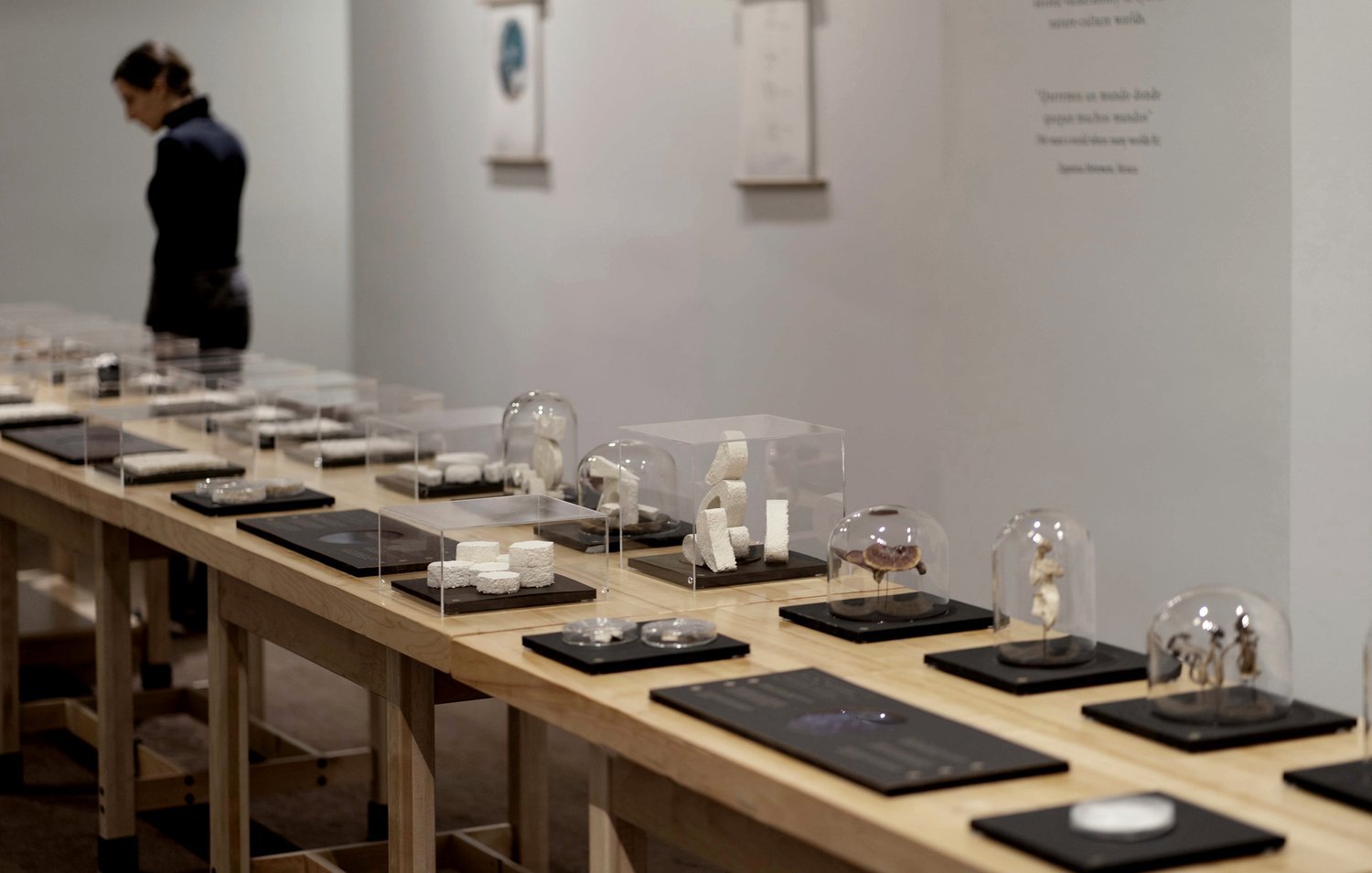 Included among the exhibitions are beautiful objects made with mycelium