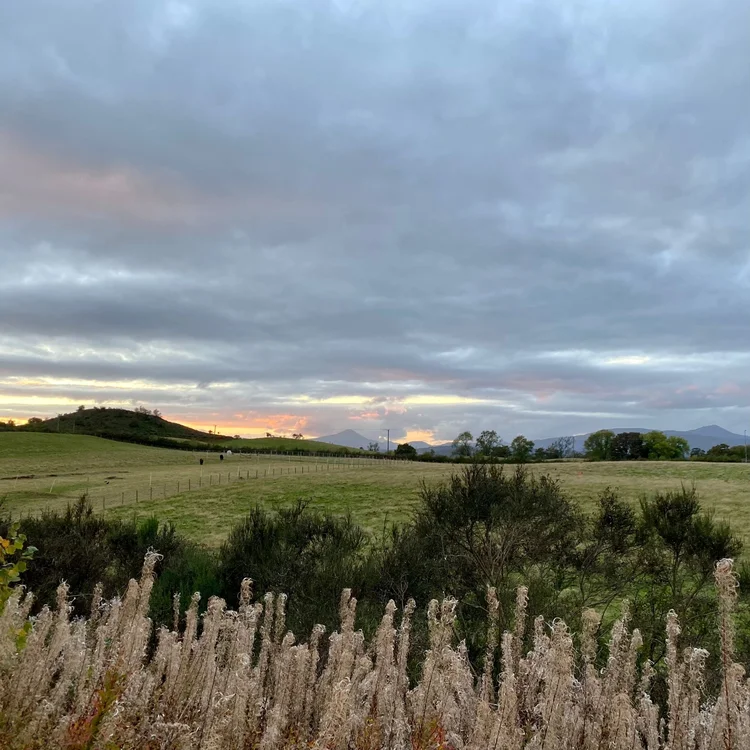 Scottish countryside at dusk
