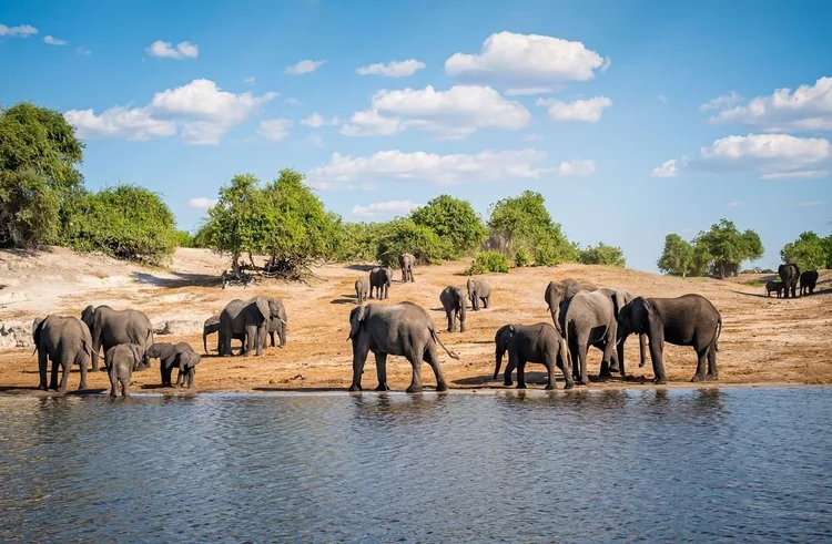 Botswana retreat