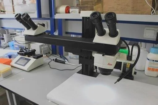 Leica_binoculo.jpg